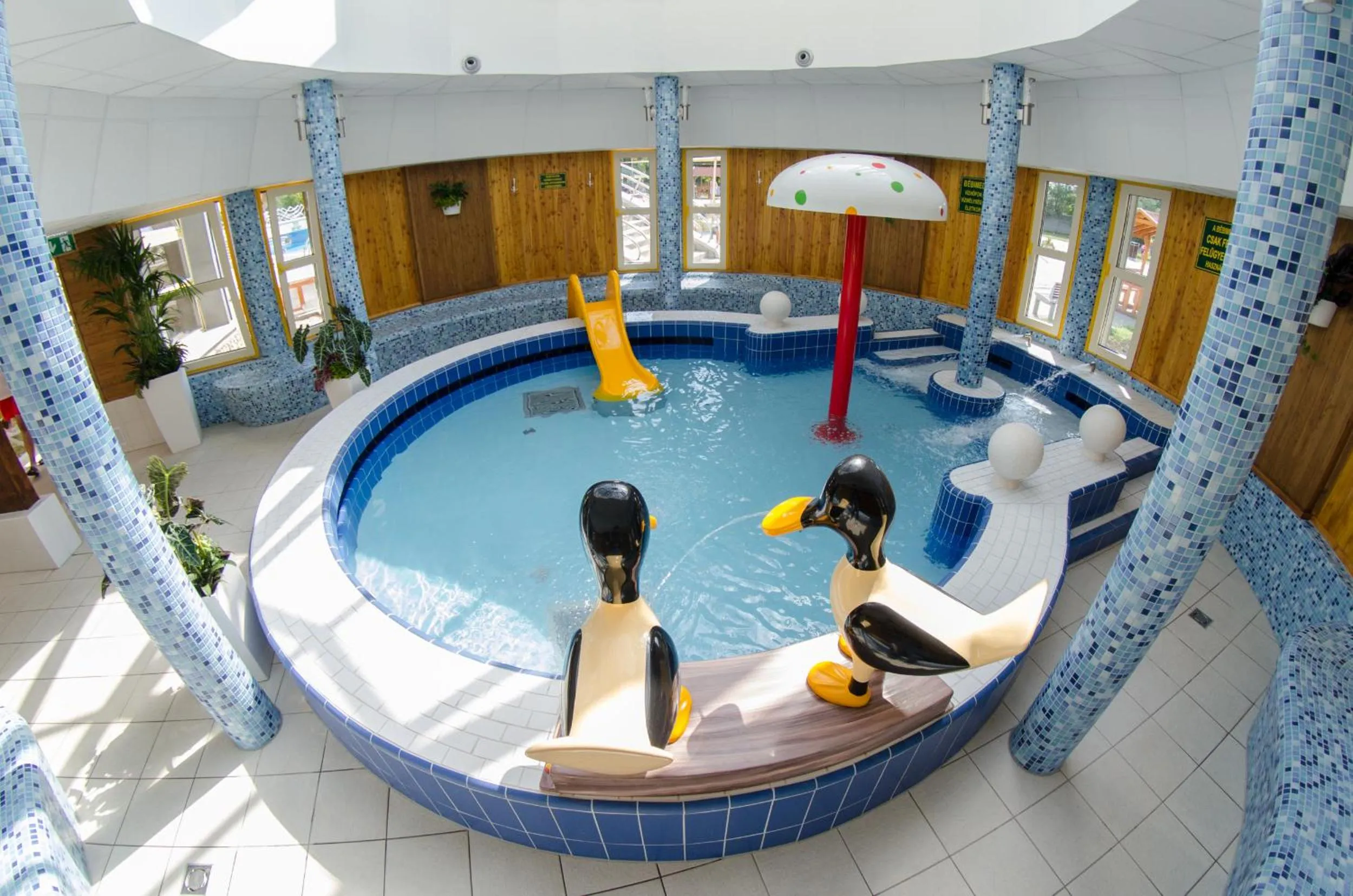 Swimming pool in Tisia Hotel & Spa