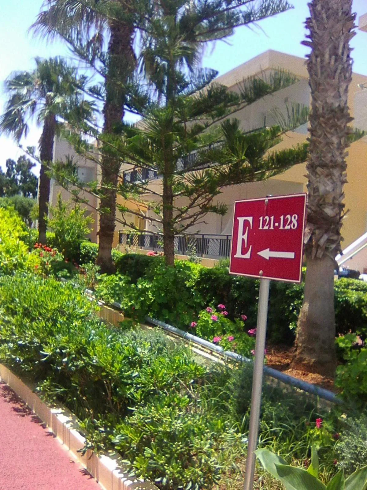 Garden in Astir Beach Hotel