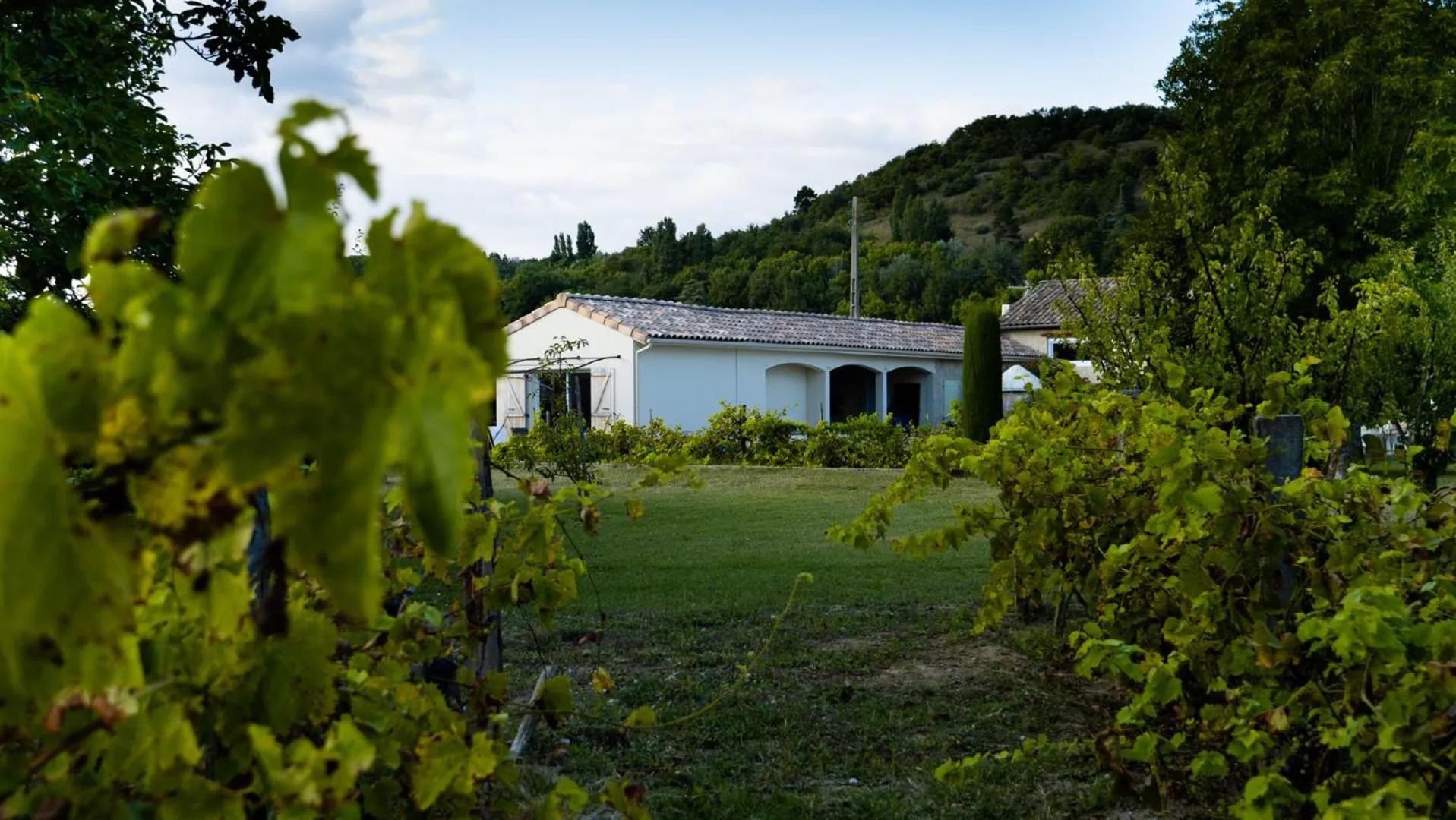 Garden in Mas de Chaufondes