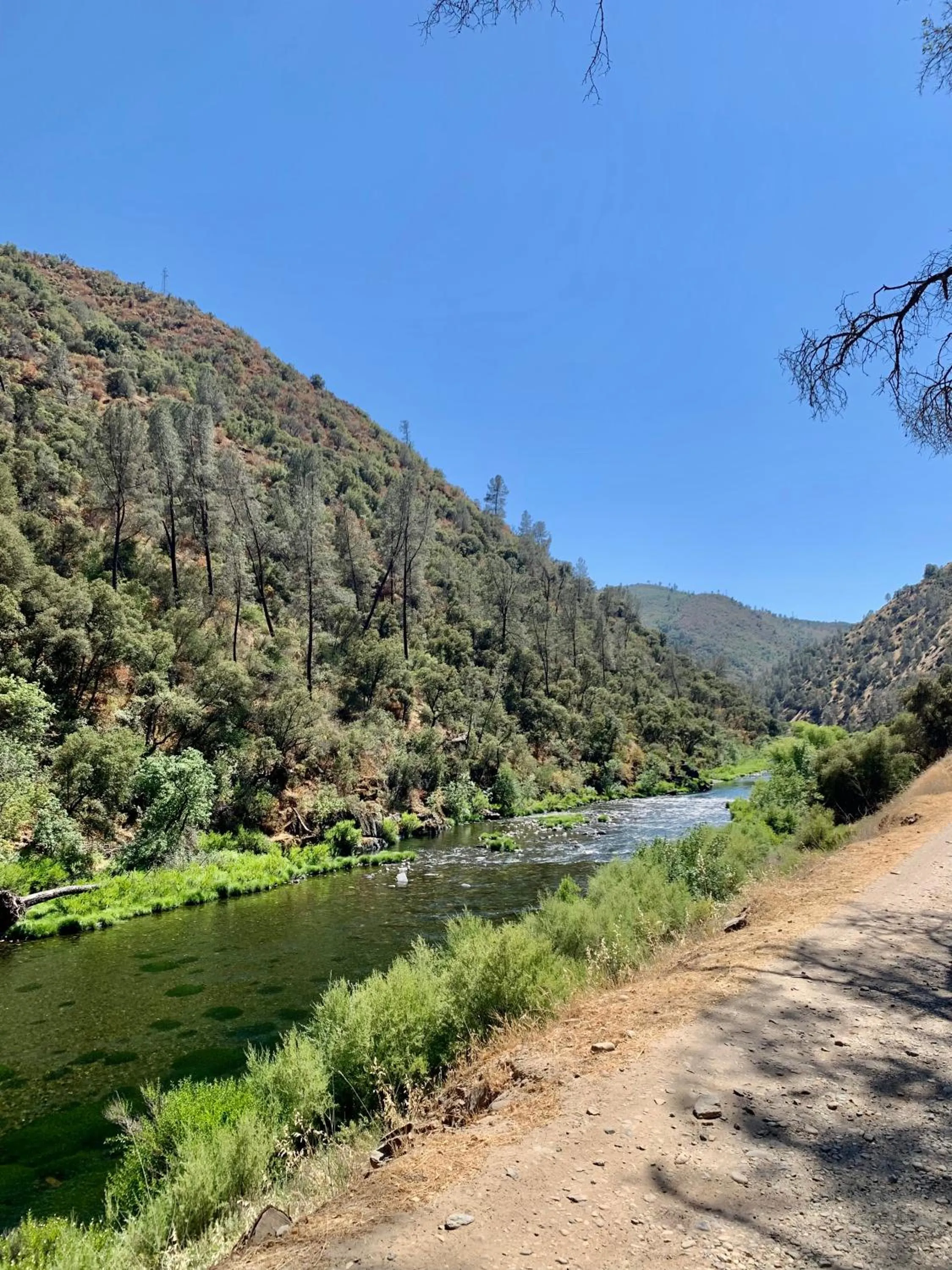 Natural landscape in Villa Alta Vista at Yosemite- Stunning Views and Game Room