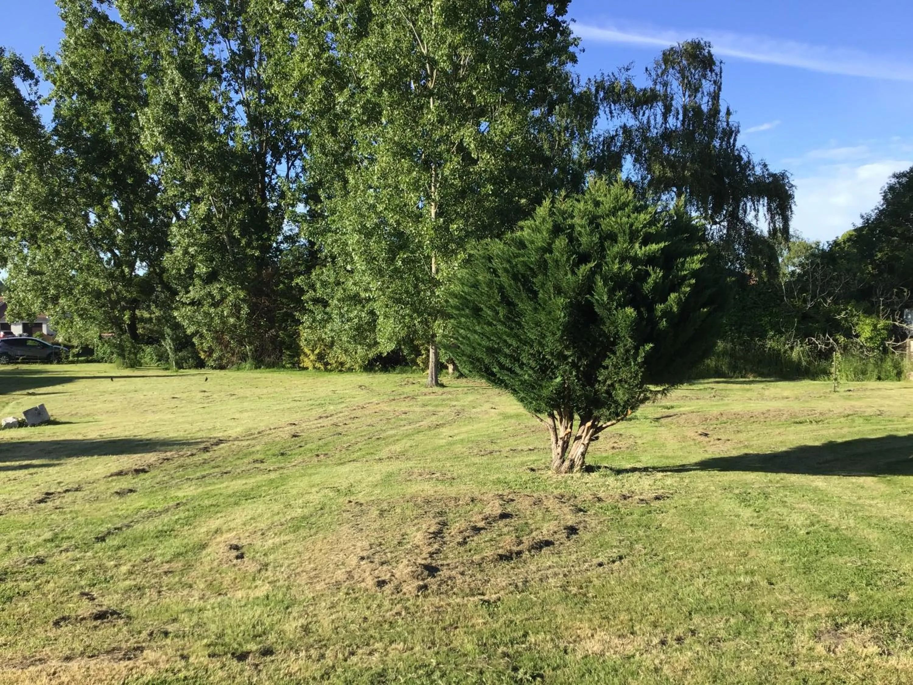 Garden in Numéro 96 chambre d hôtes