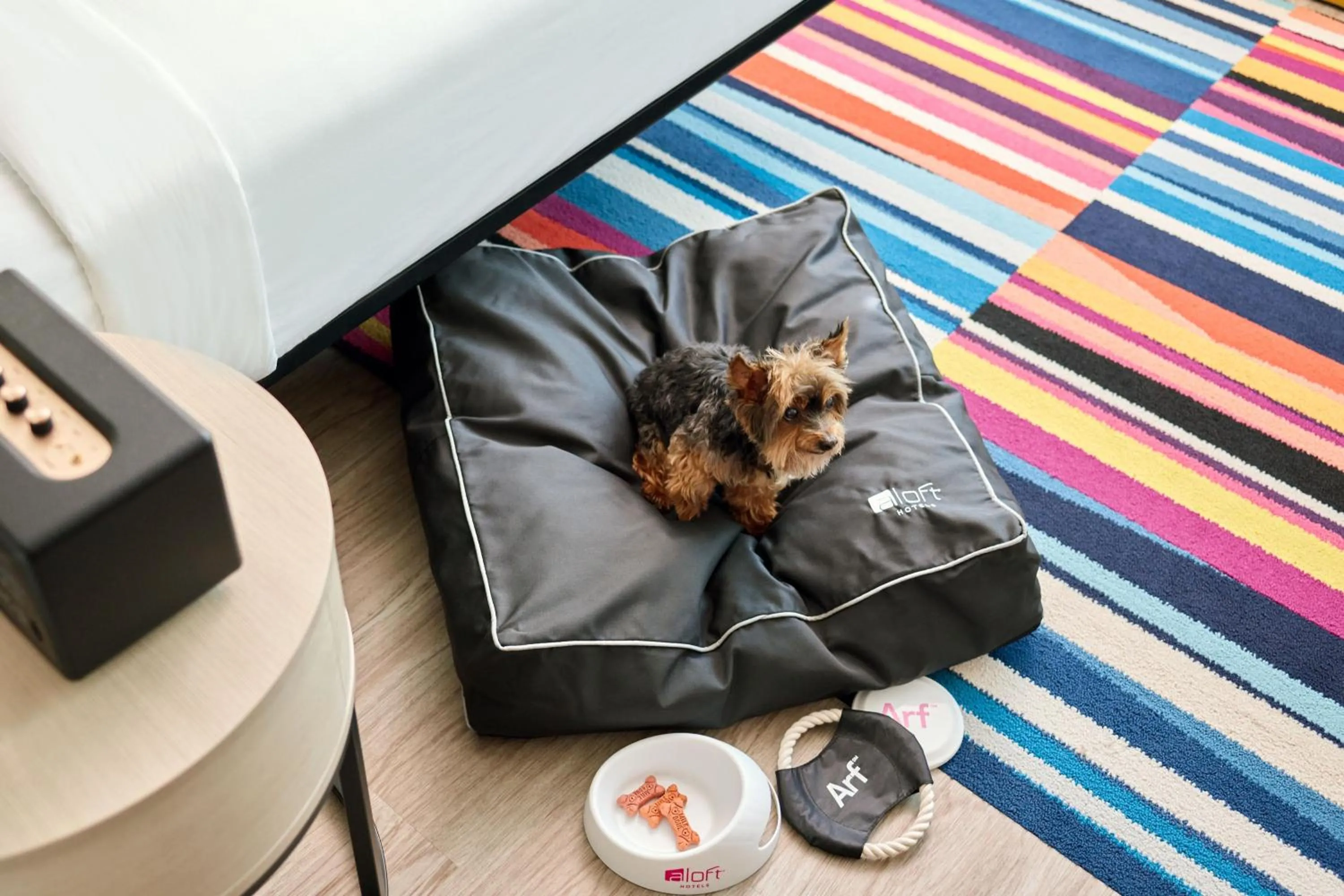 Other in Aloft Trophy Club Westlake