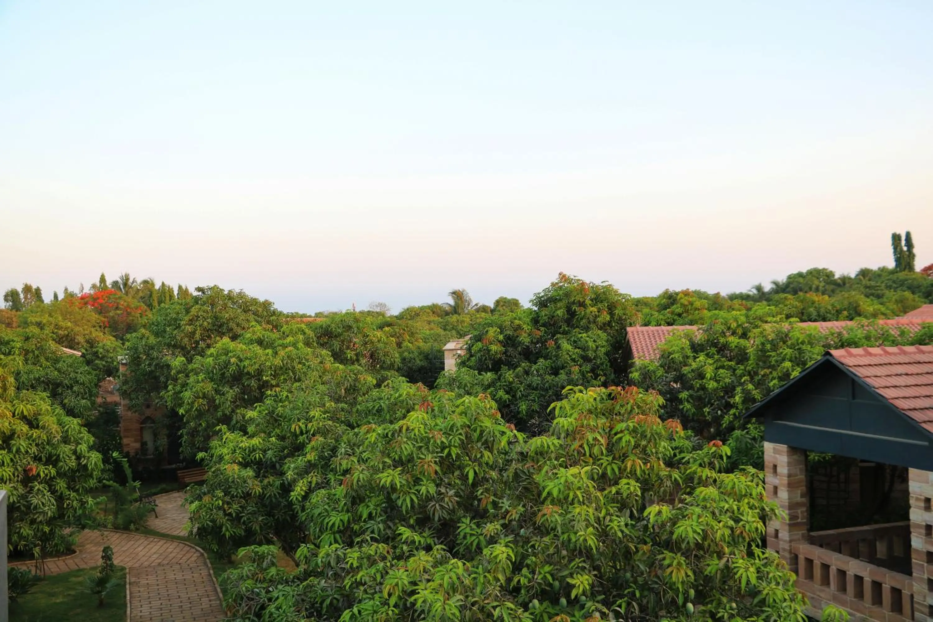 Property building in The Postcard Gir Wildlife Sanctuary