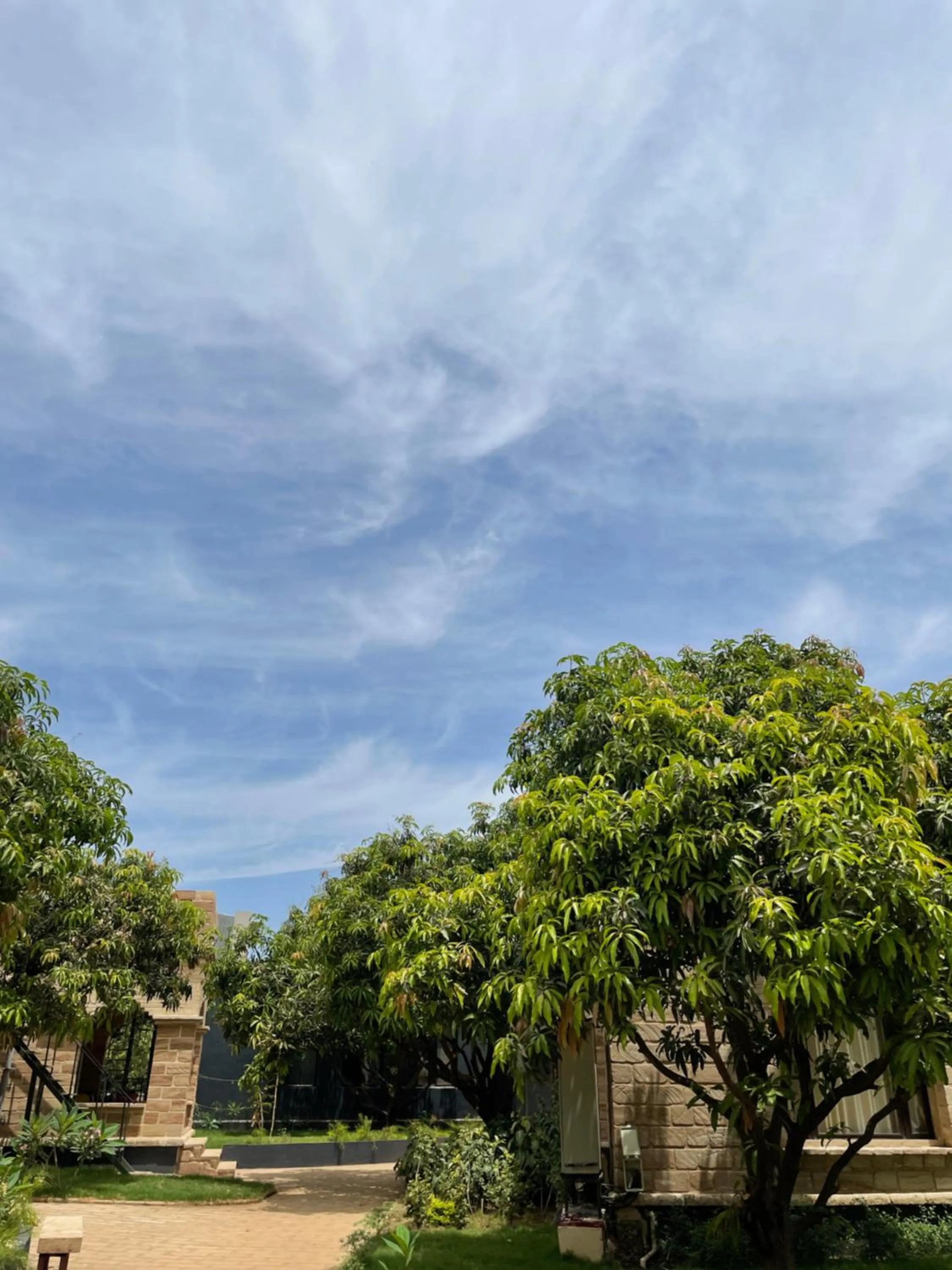 Garden in The Postcard Gir Wildlife Sanctuary