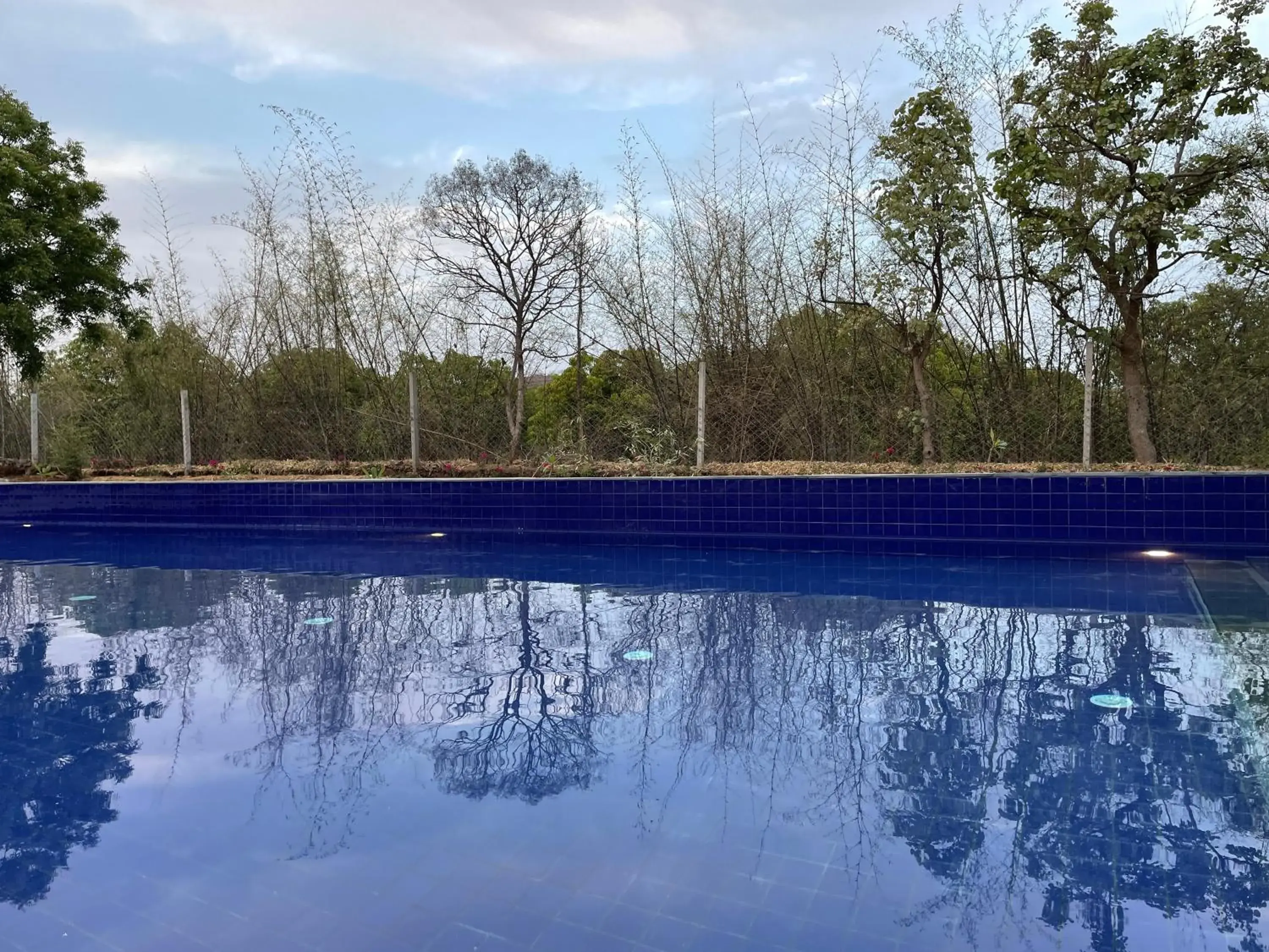 Swimming pool in The Postcard Gir Wildlife Sanctuary Swimming pool in The Postcard Gir Wildlife Sanctuary