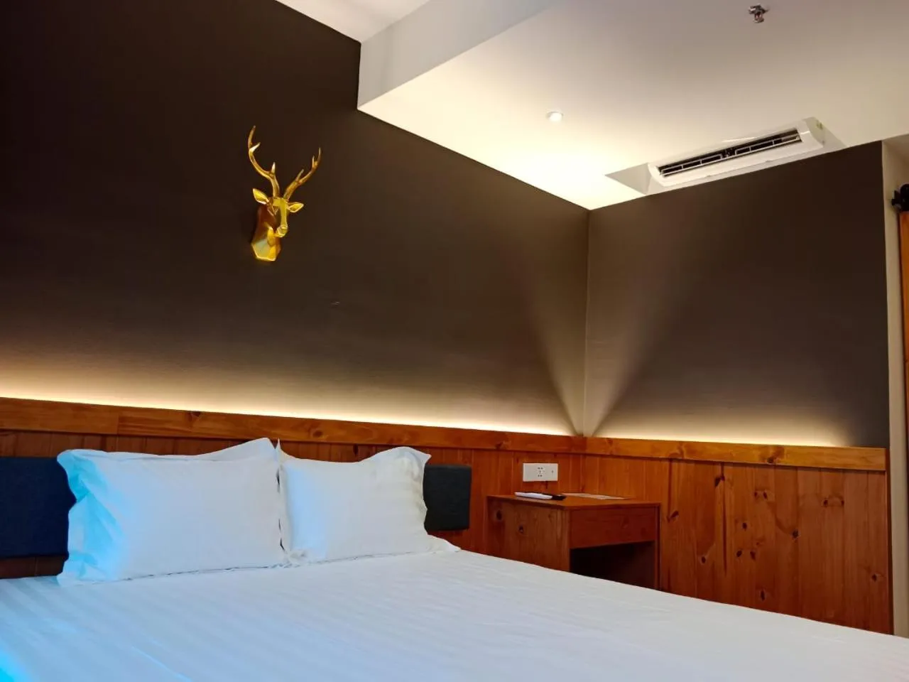 Bed in Zone Hotel Ipoh