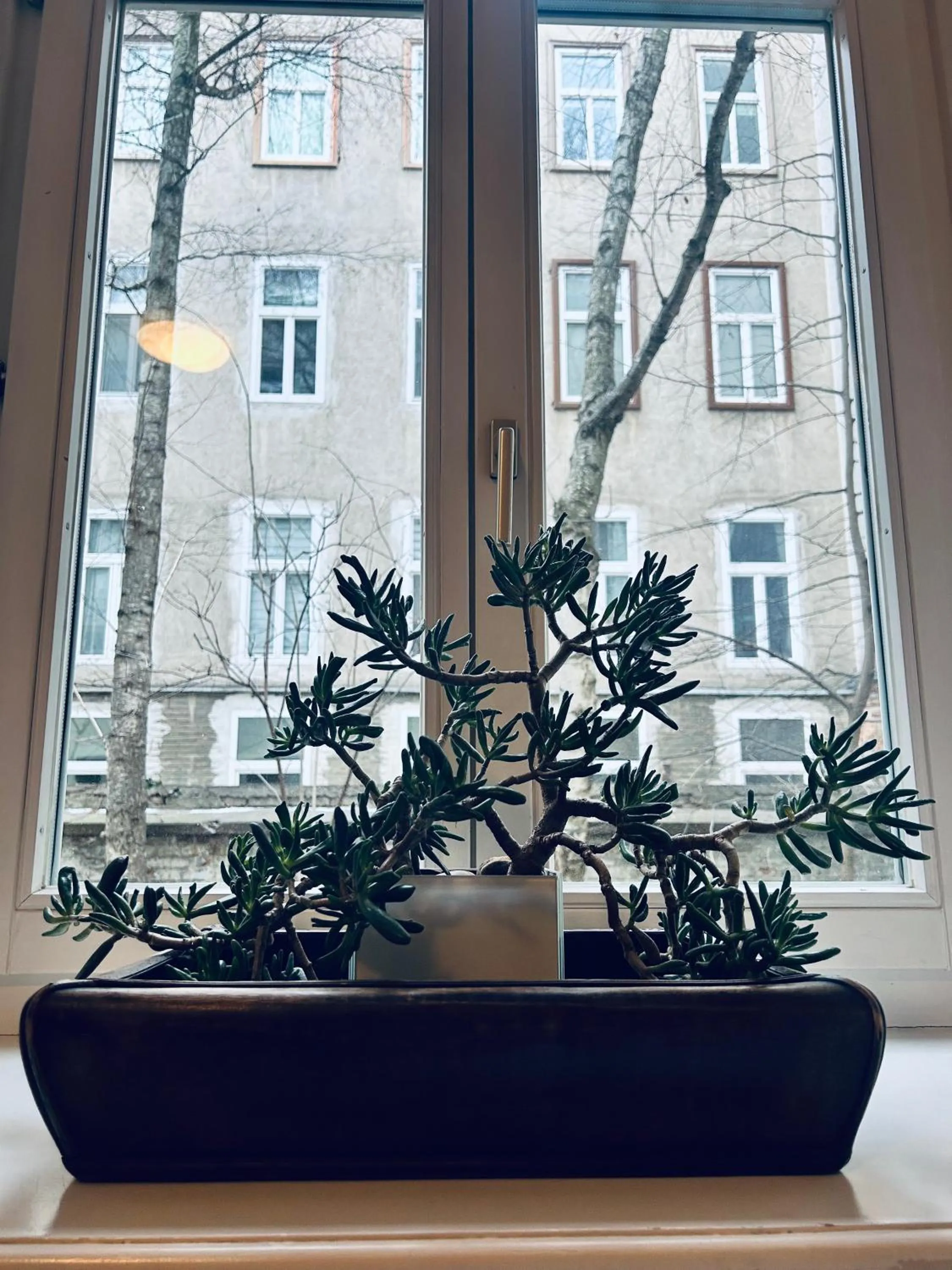 Day in Pension Stadthalle