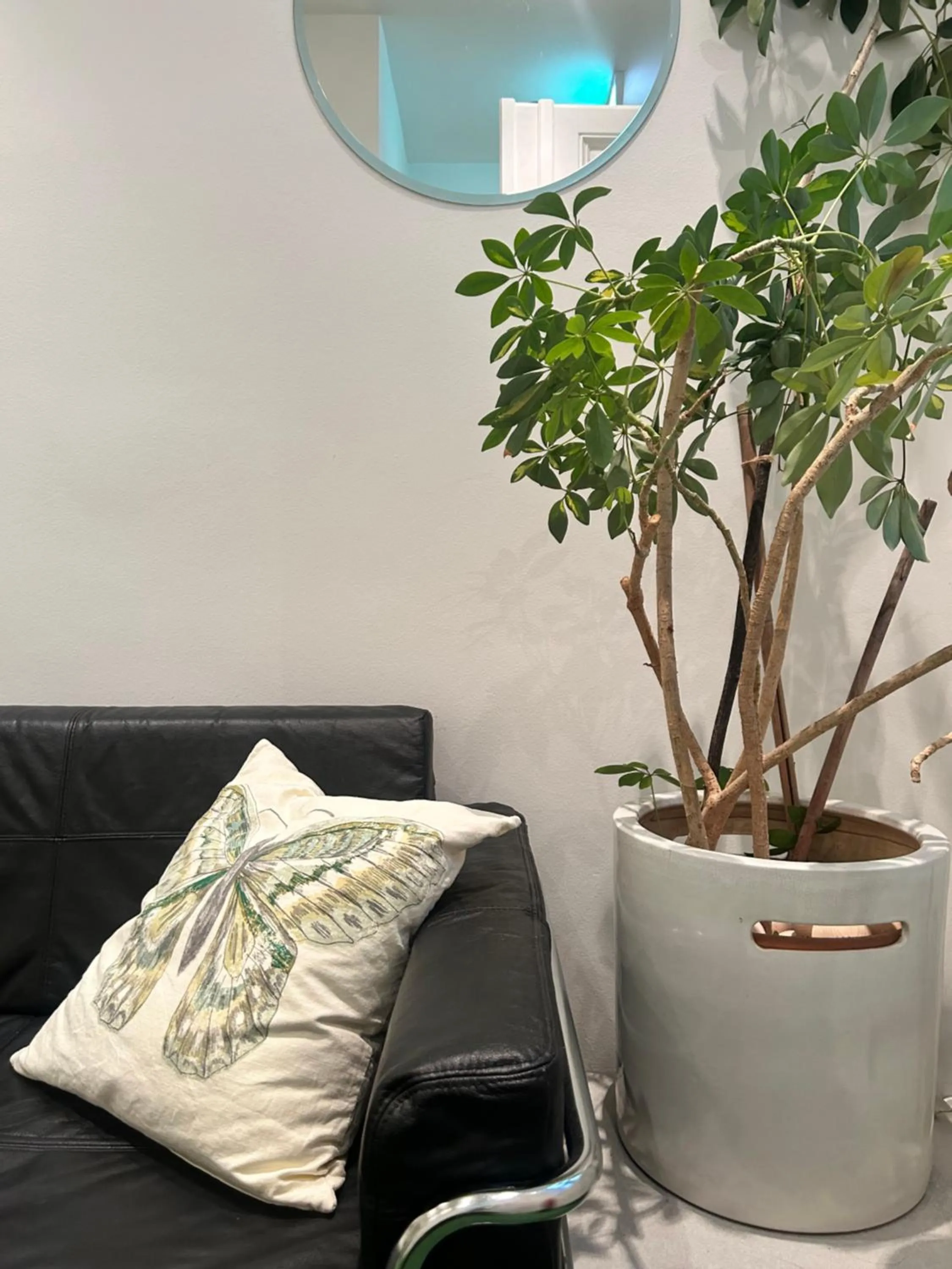 Seating area in Pension Stadthalle