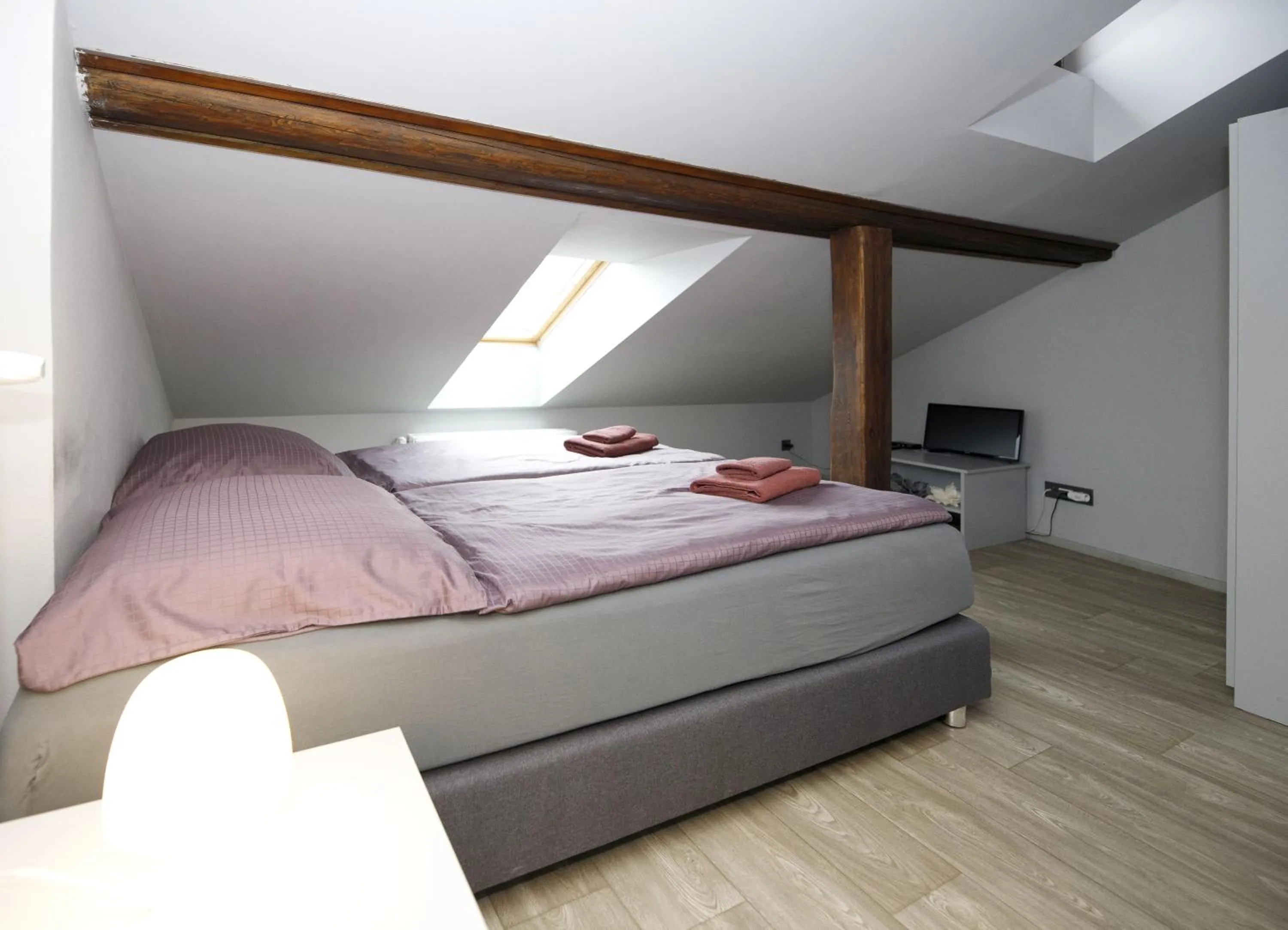 Twin Room - single occupancy in Libušina Villa