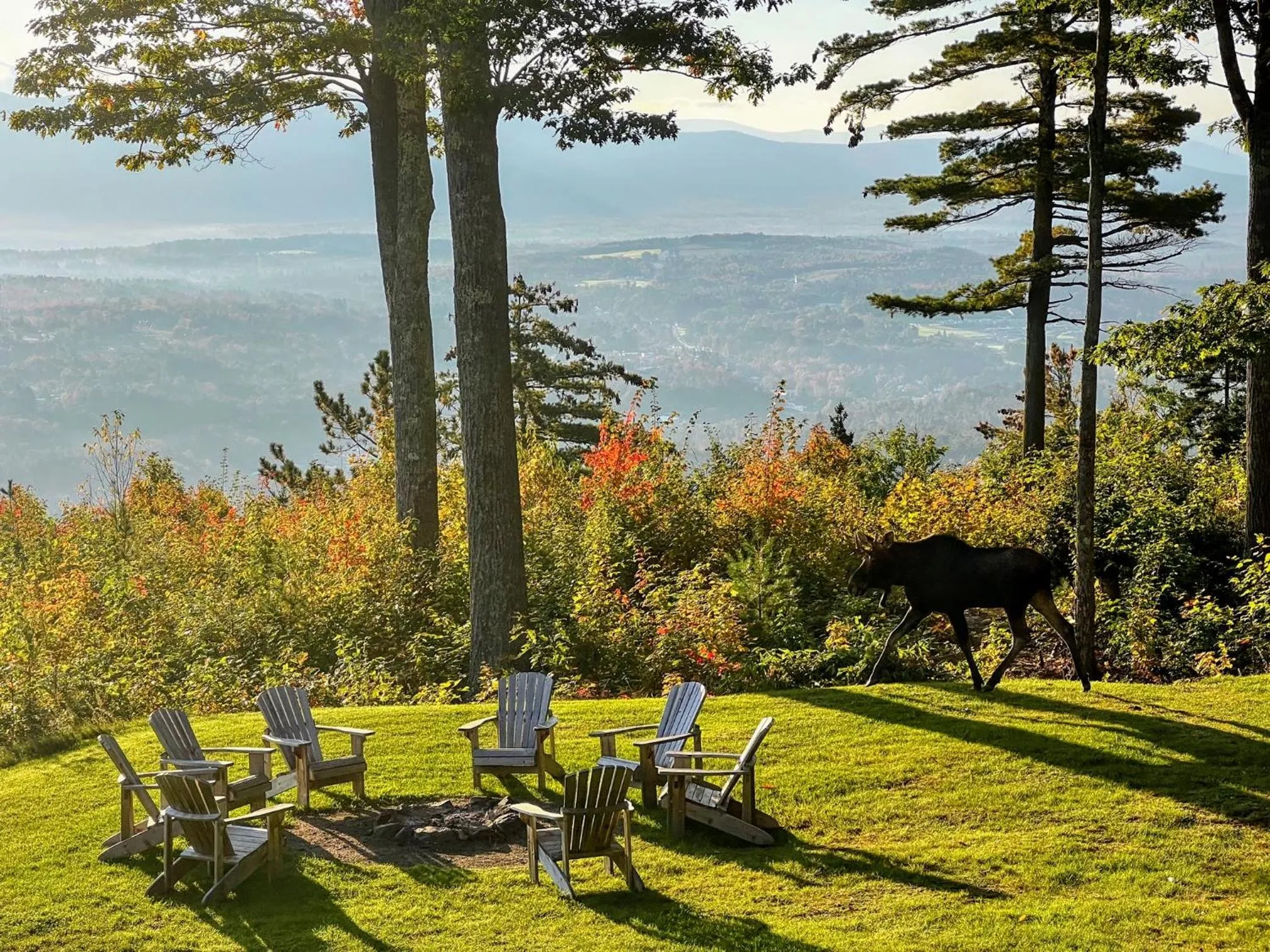 RL Breathtaking views and grand unique style private mountain retreat 4WD recommended