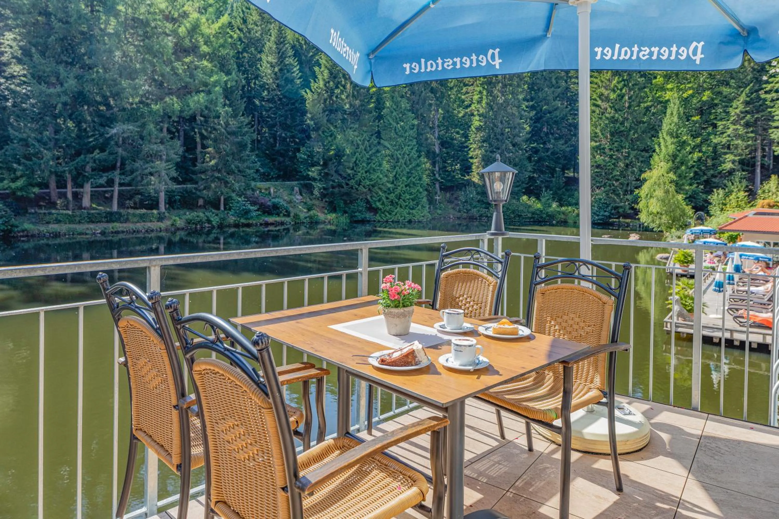 Balcony/Terrace in Hotel Langenwaldsee