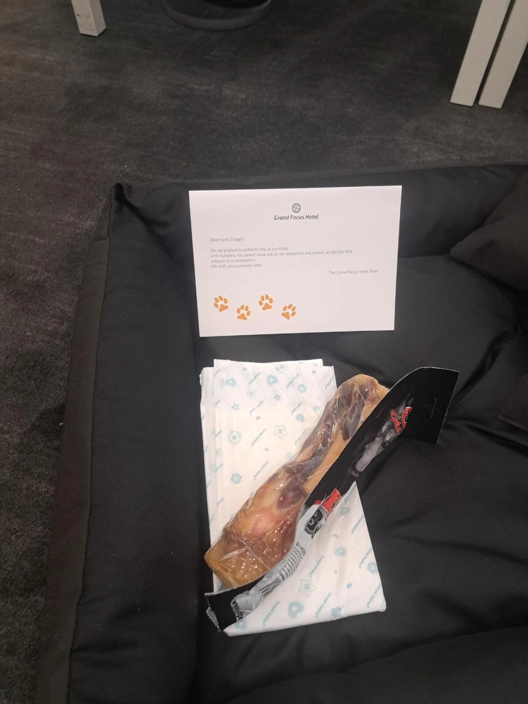 Animals in Grand Focus Hotel Szczecin