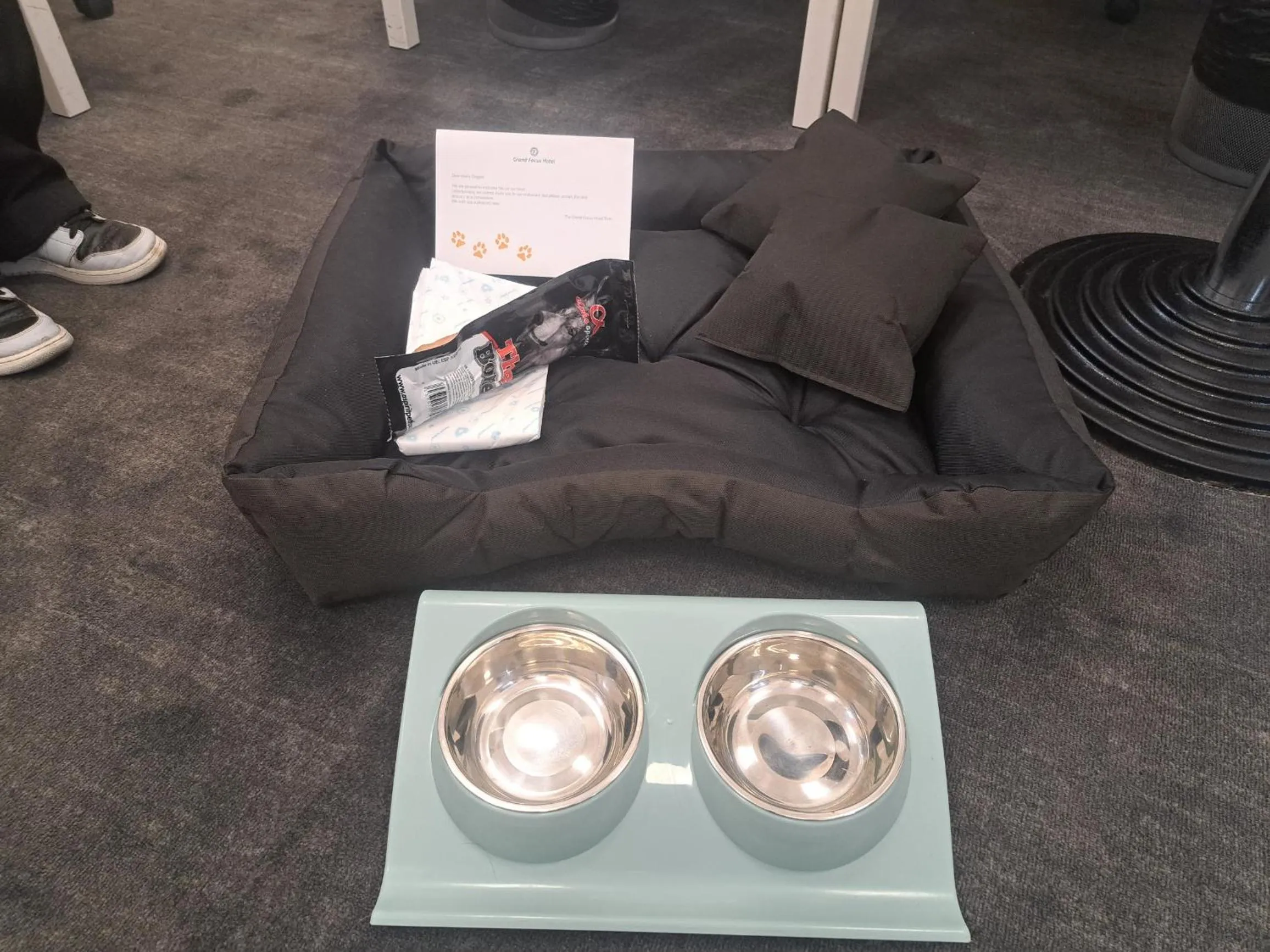 Animals in Grand Focus Hotel Szczecin