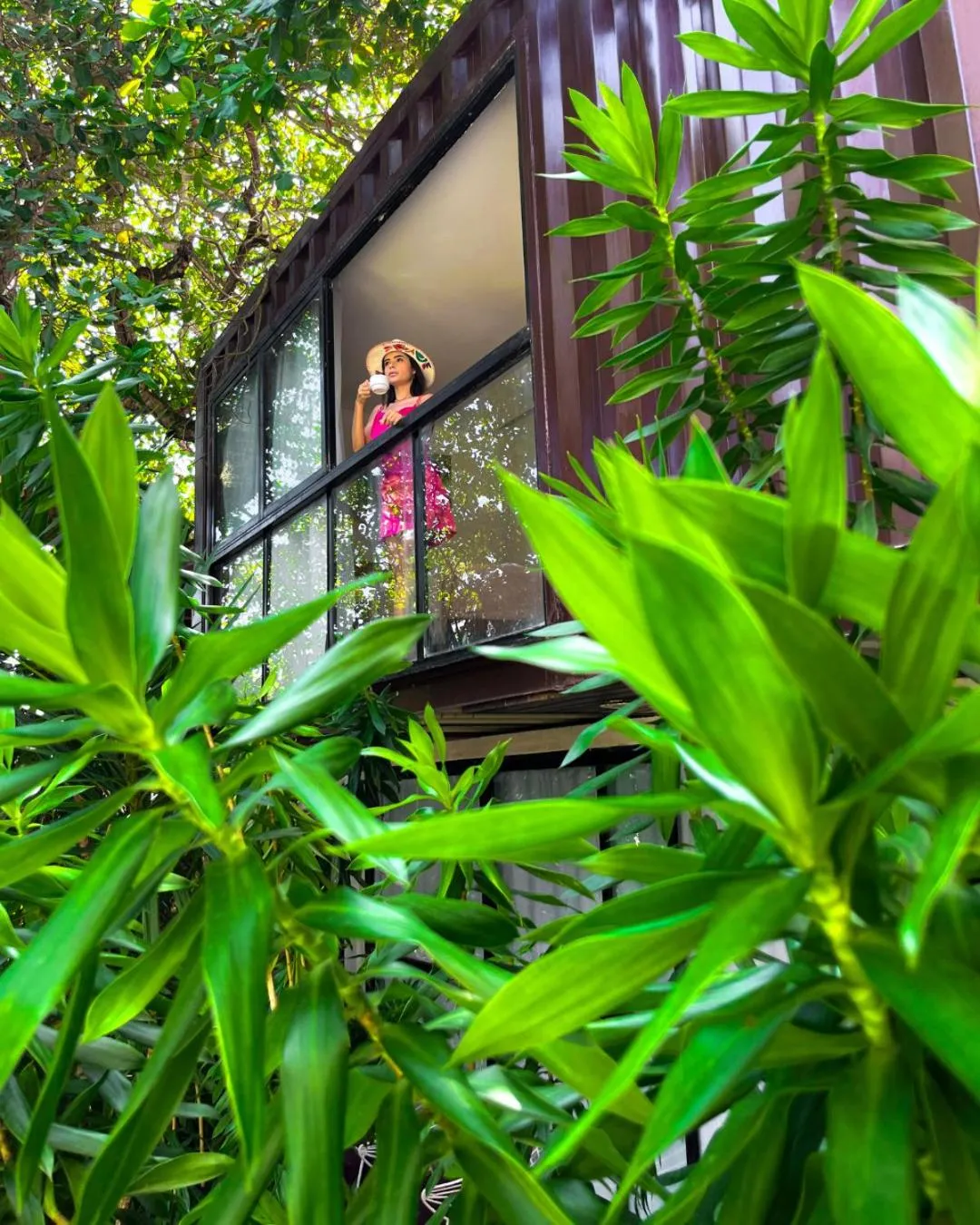 Garden in Pousada Unaí