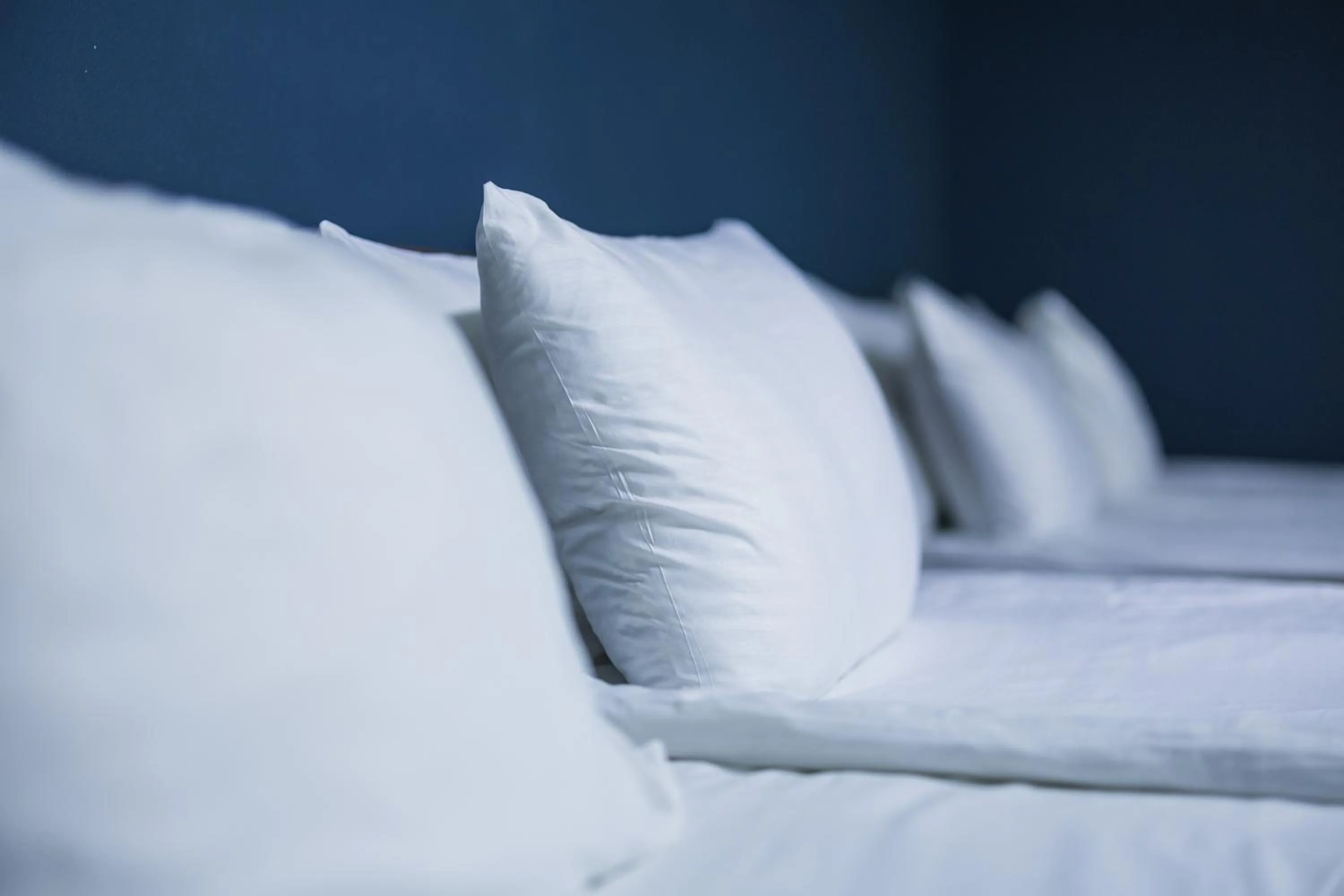 Deluxe Family Room - single occupancy in Golden Palace Hotel