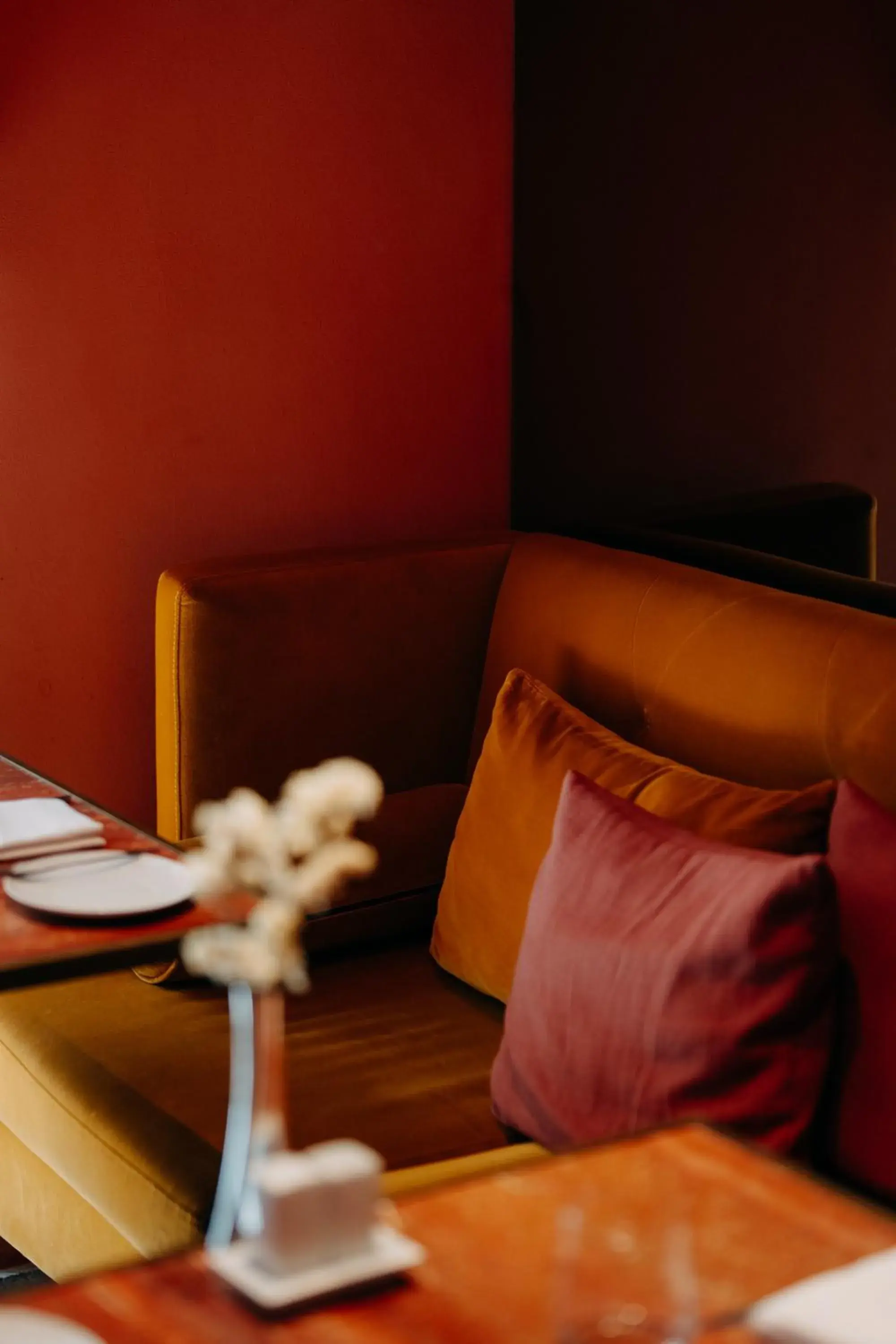 Restaurant/places to eat in Casa da Companhia Hotel & Spa, Vignette Collection by IHG Restaurant/places to eat in Casa da Companhia Hotel & Spa, Vignette Collection by IHG