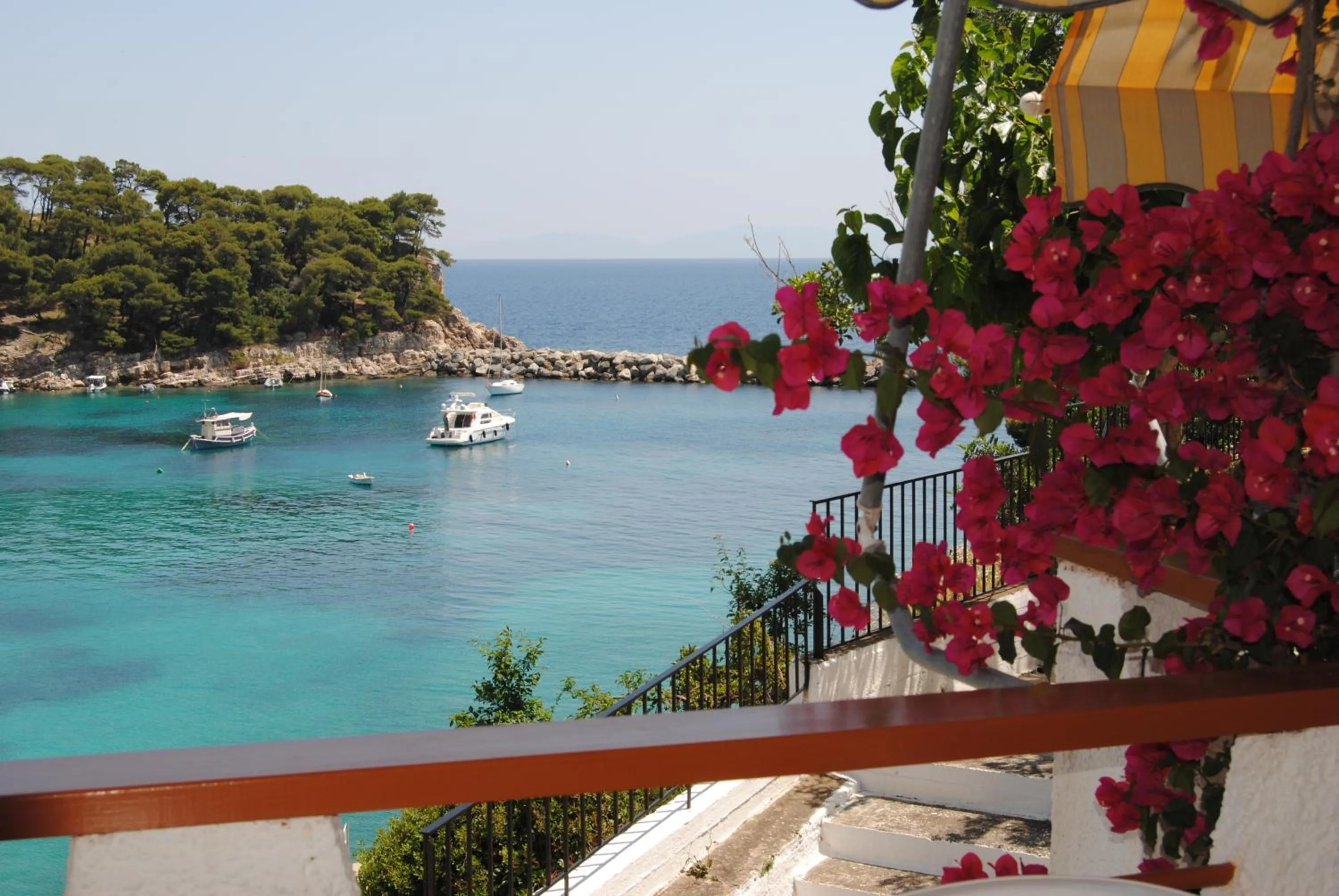 View (from property/room) in Pension Dimitris