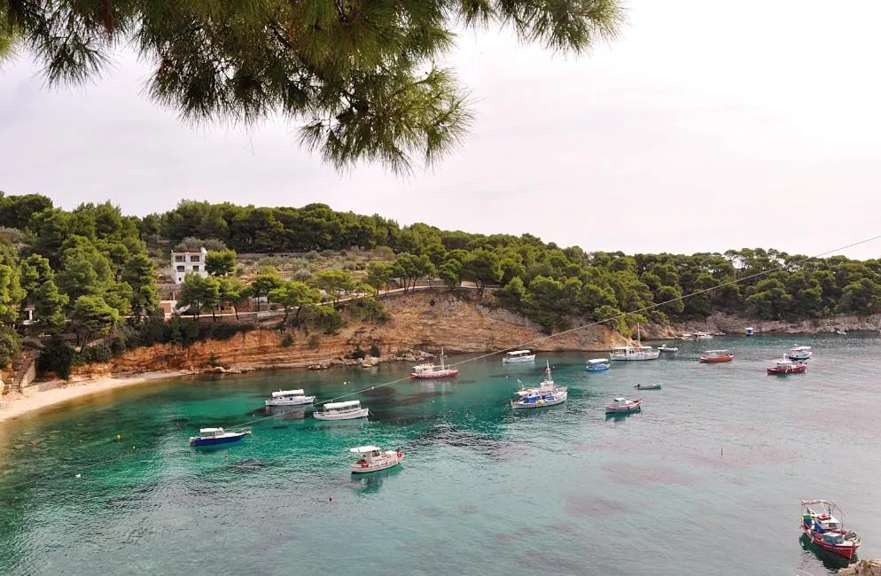 Autumn in Pension Dimitris