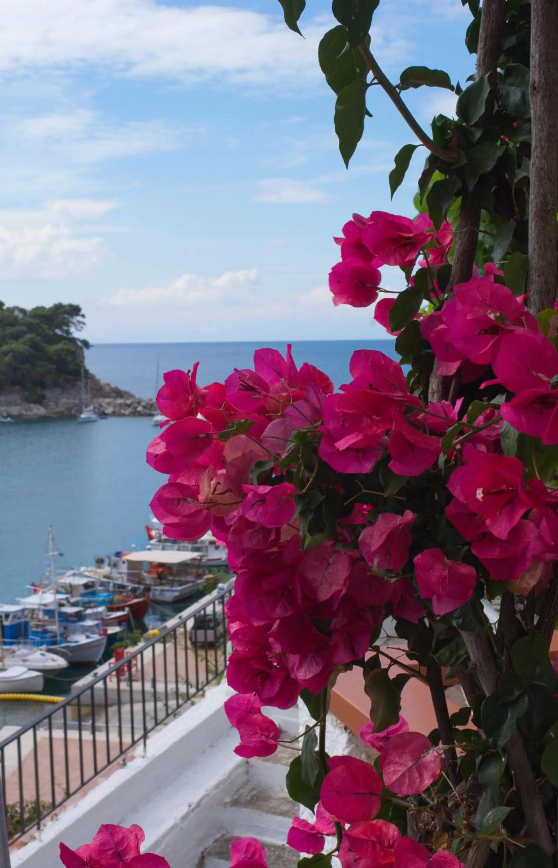 Summer in Pension Dimitris