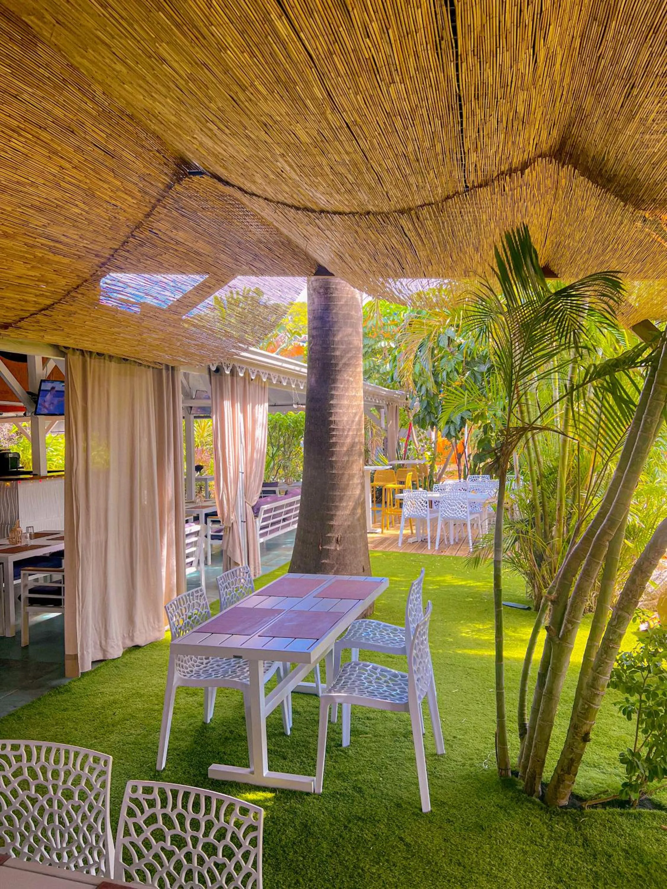 Garden in Tropicana Suites