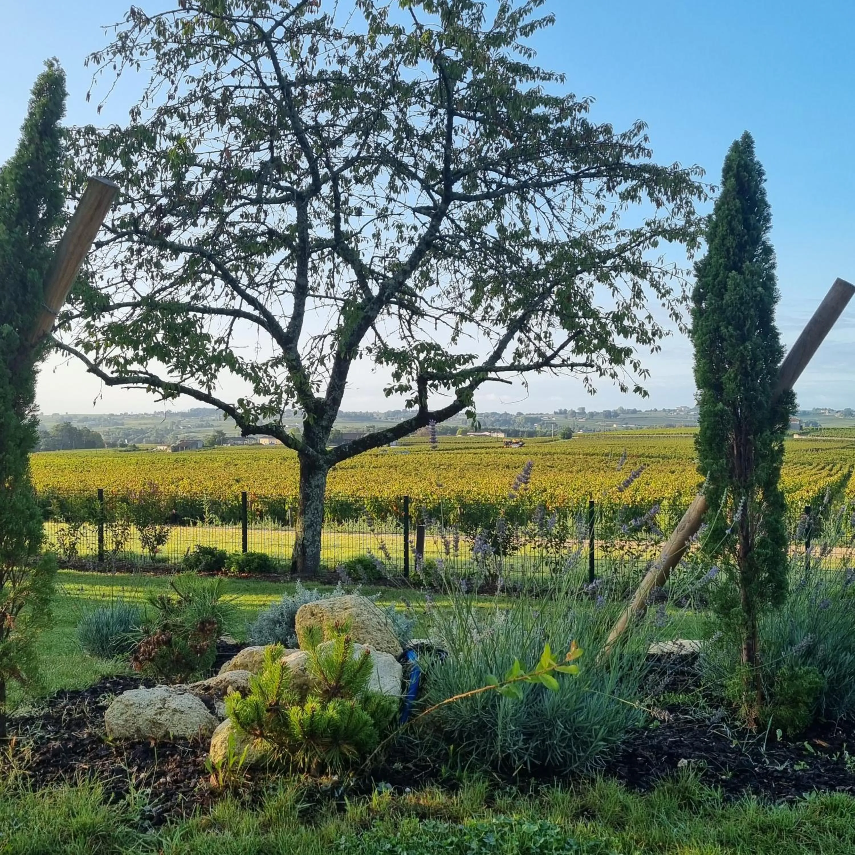 View (from property/room) in AUX DUCS DE SIENNE