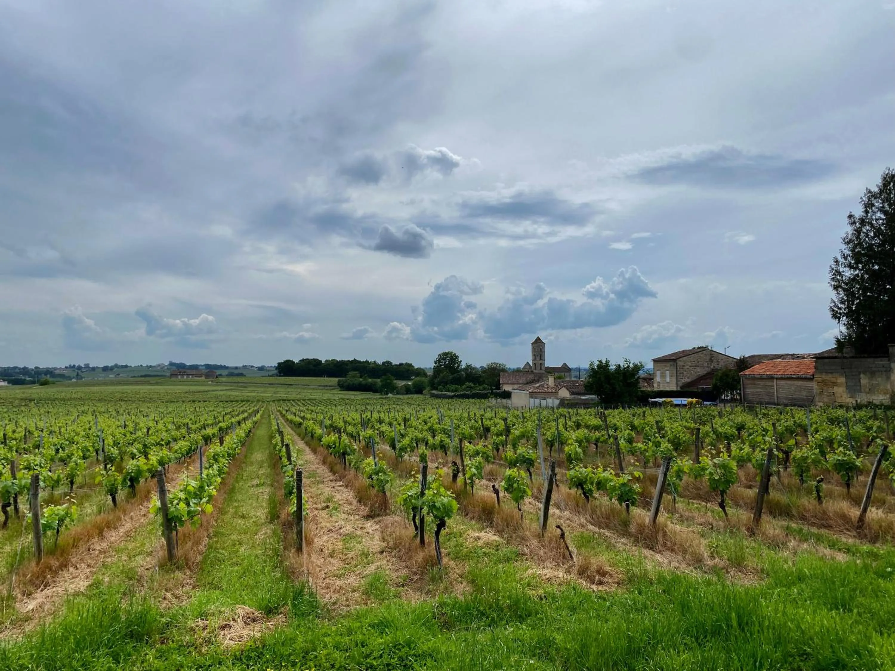 View (from property/room) in AUX DUCS DE SIENNE