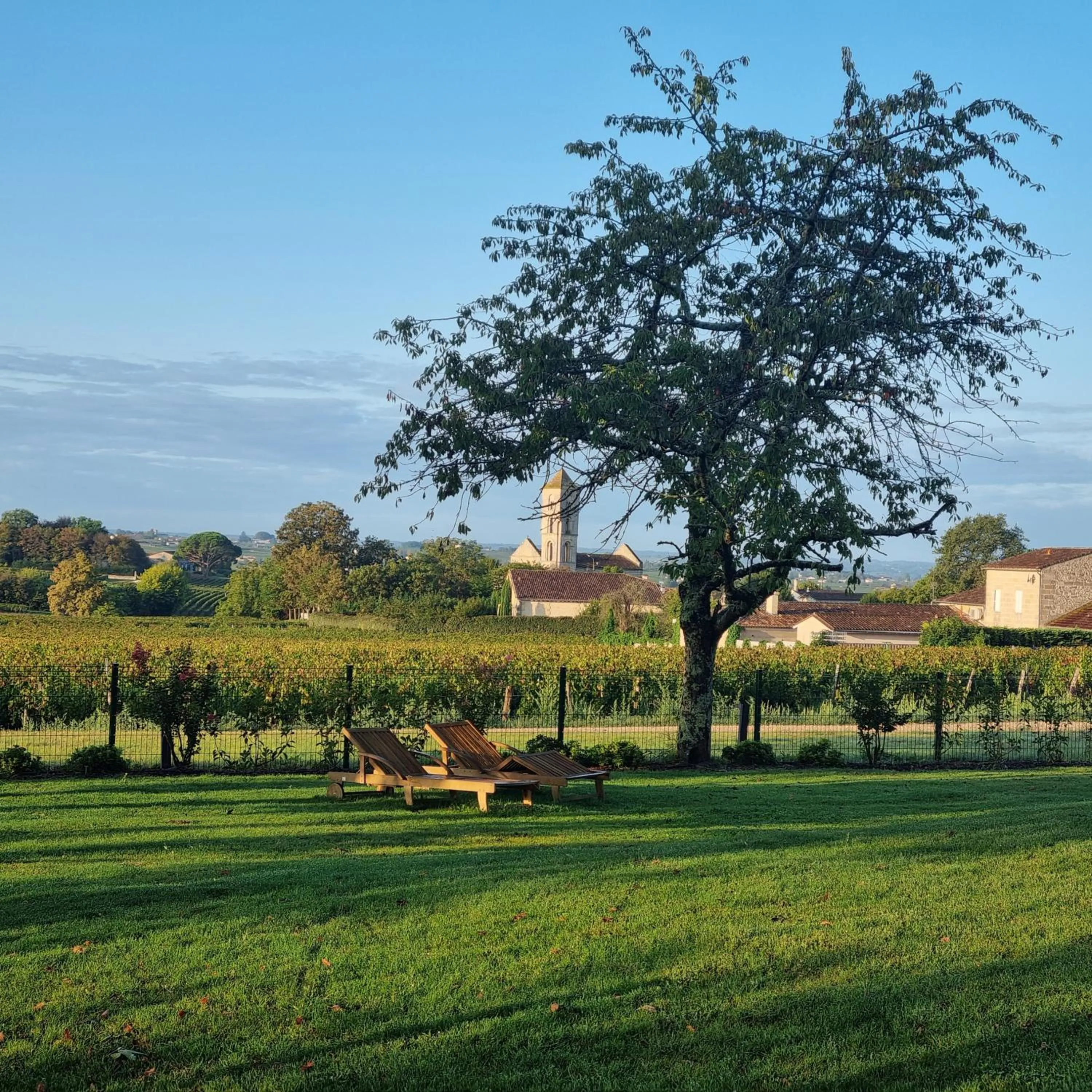Garden in AUX DUCS DE SIENNE