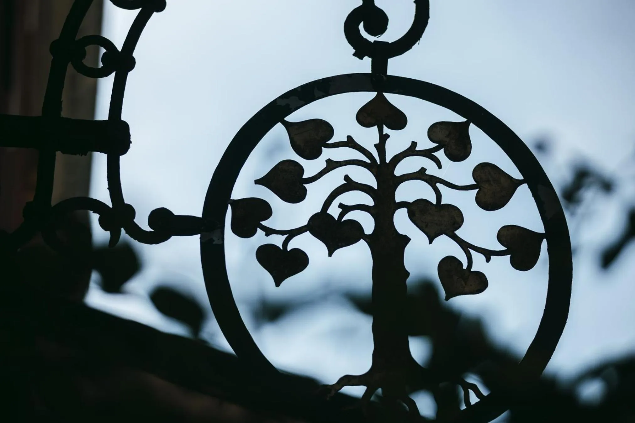 Day in Hotel Lindauer Hof