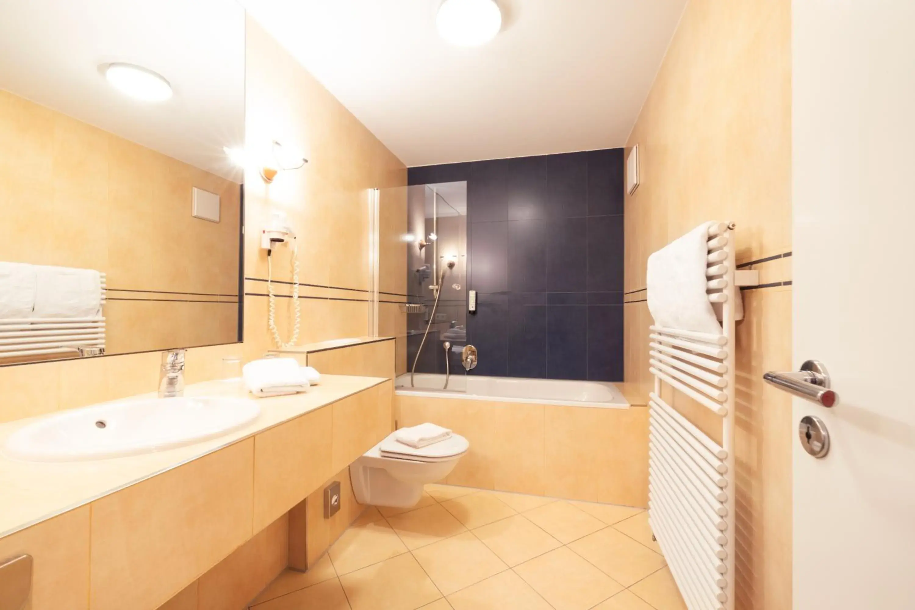 Double Room - single occupancy in Hotel Lindauer Hof Double Room - single occupancy in Hotel Lindauer Hof