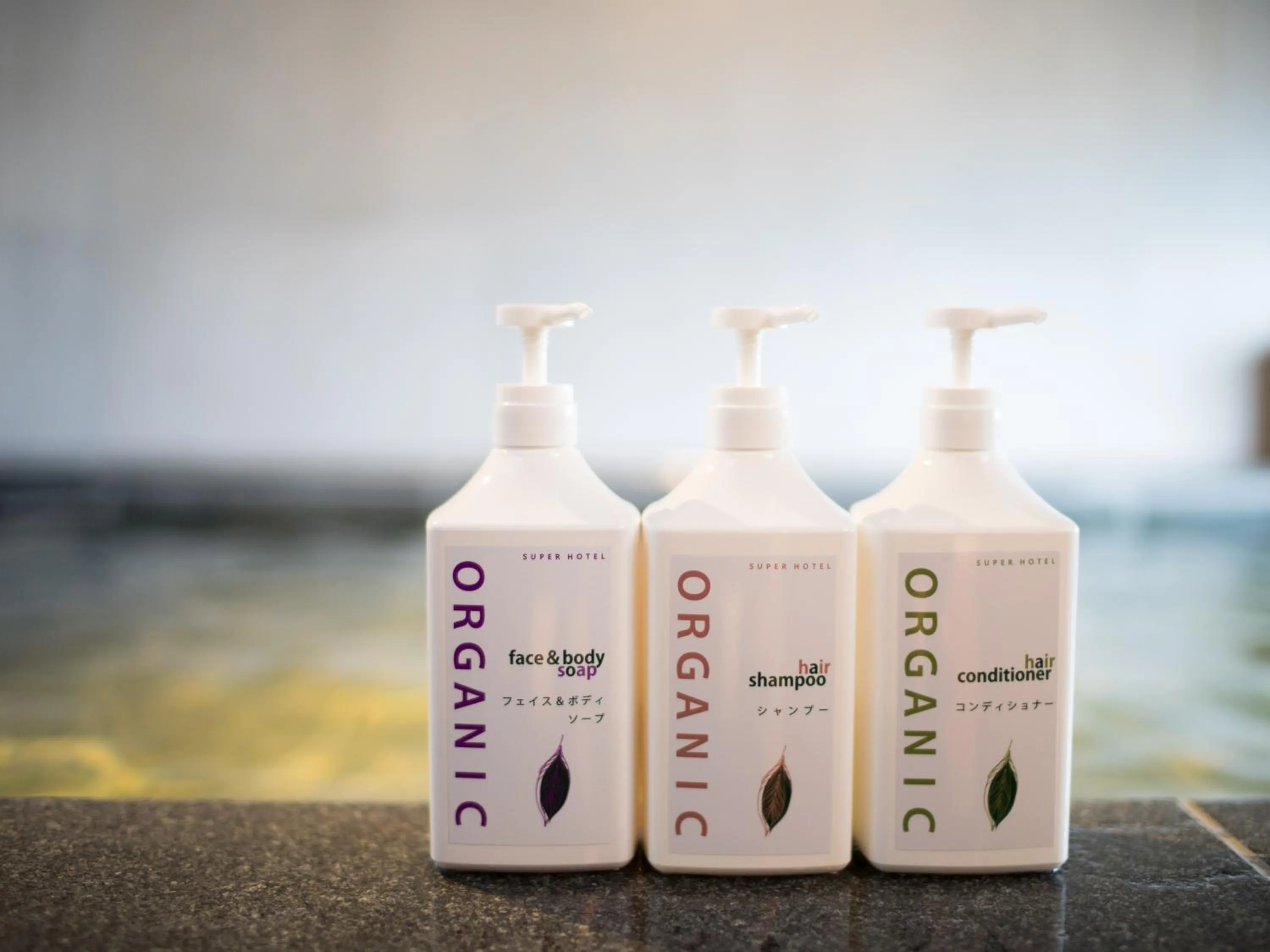 Hot Spring Bath in Super Hotel Nagoya Shinkansenguchi