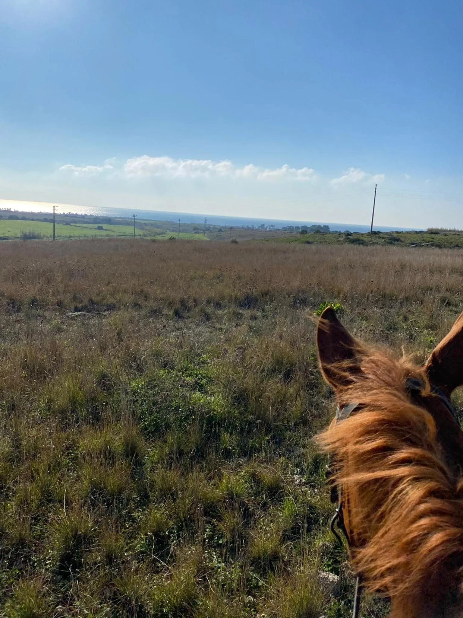 Activities in Volito Rural Experience