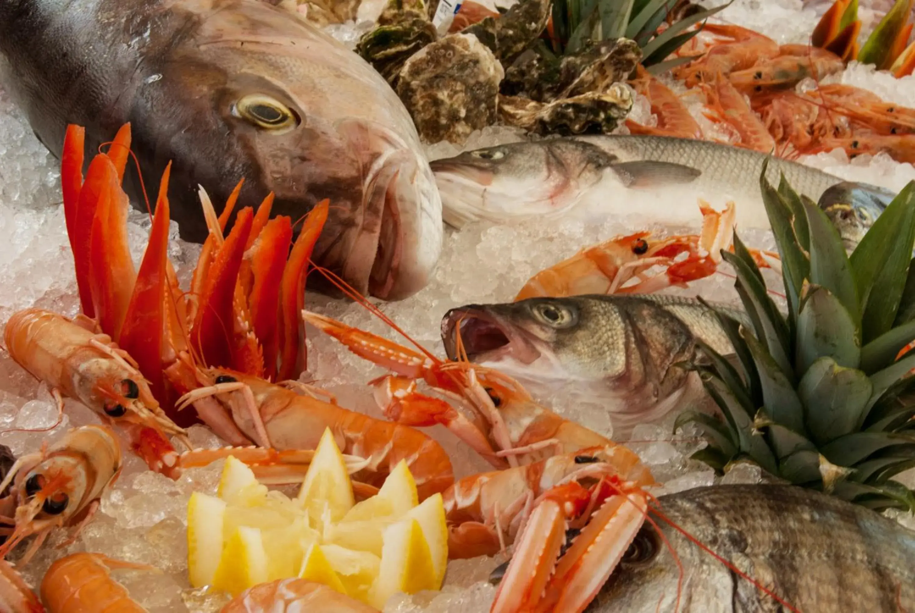 Restaurant/places to eat in Volito Rural Experience Restaurant/places to eat in Volito Rural Experience