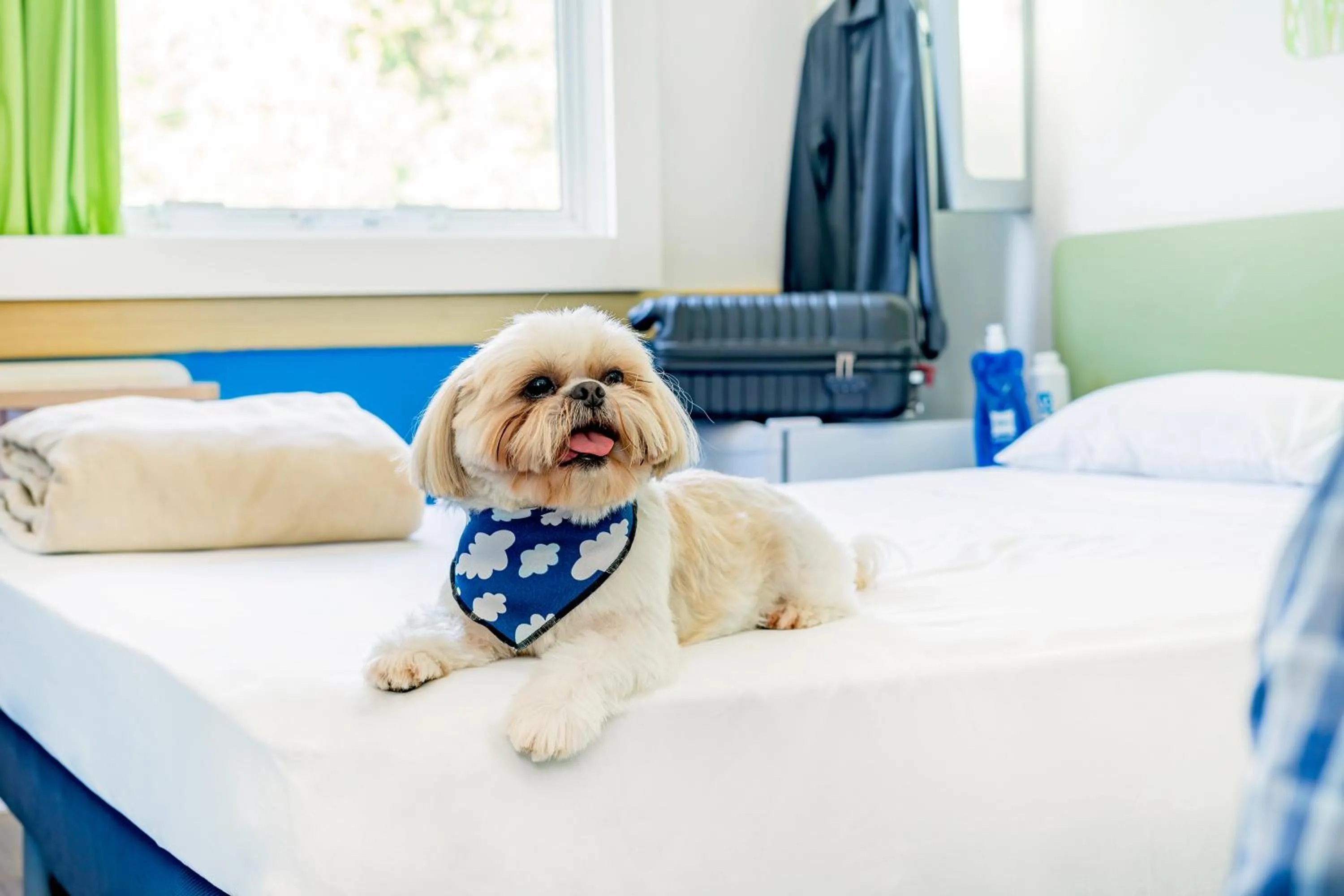 Animals, Bed in Ibis Budget Bilbao Arrigorriaga