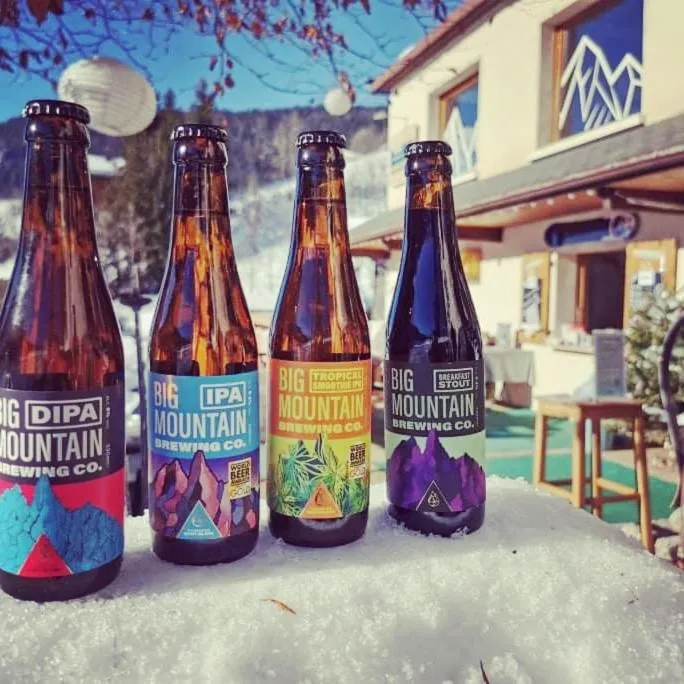 Lounge or bar in Le Rookie Mountain