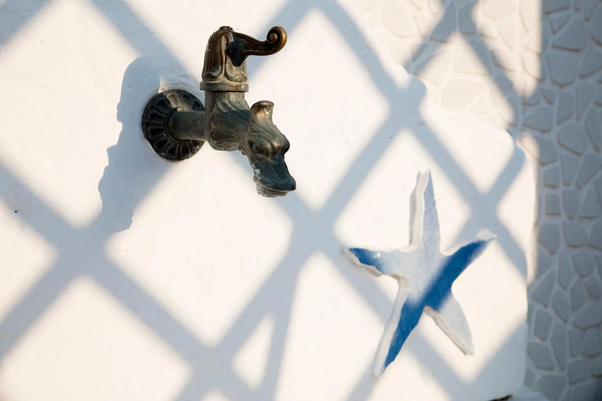 Area and facilities in B&B Stella Marina