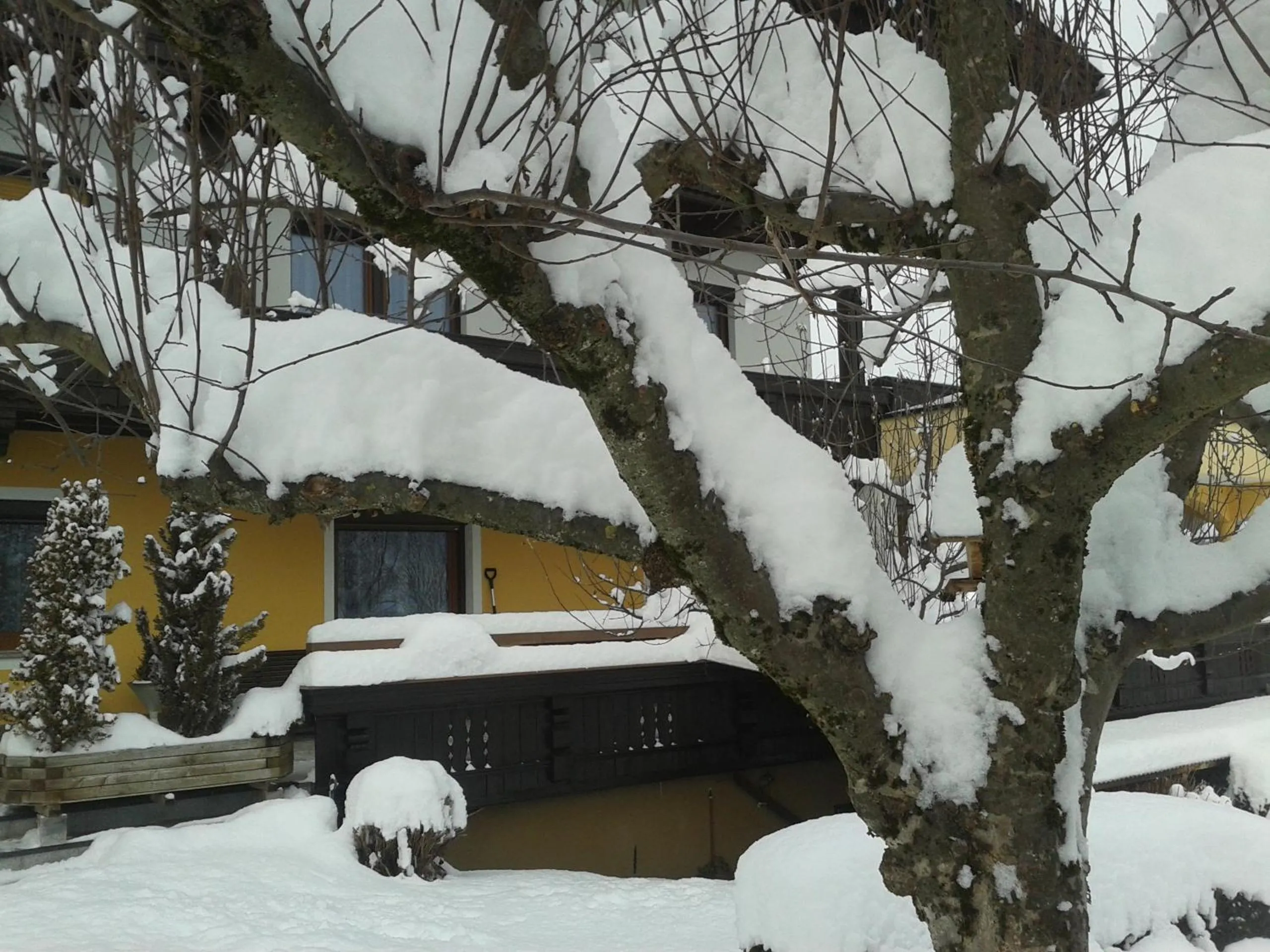 Property building in Apart Kofler's Panorama-Zillertal