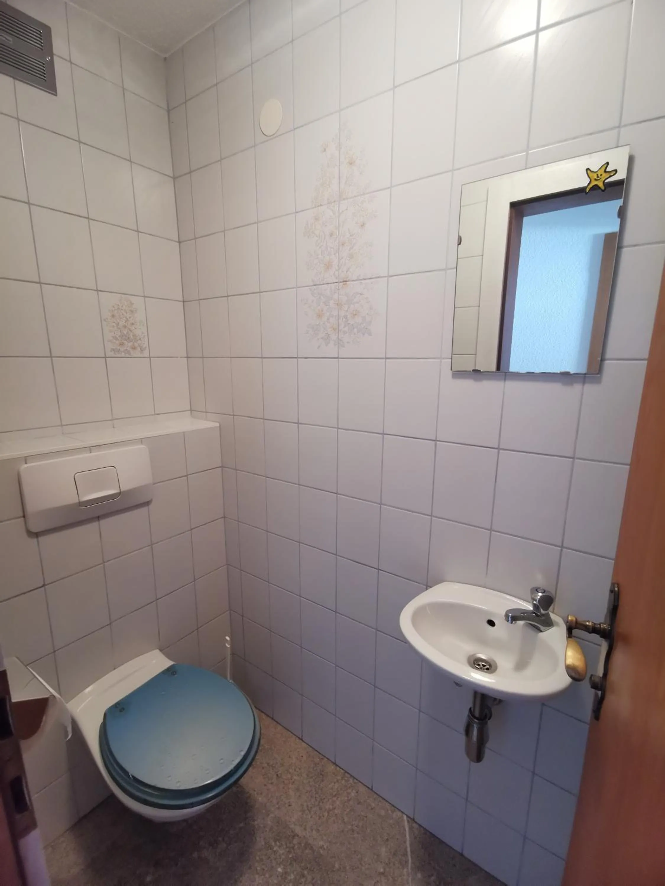 Toilet in Apart Kofler's Panorama-Zillertal