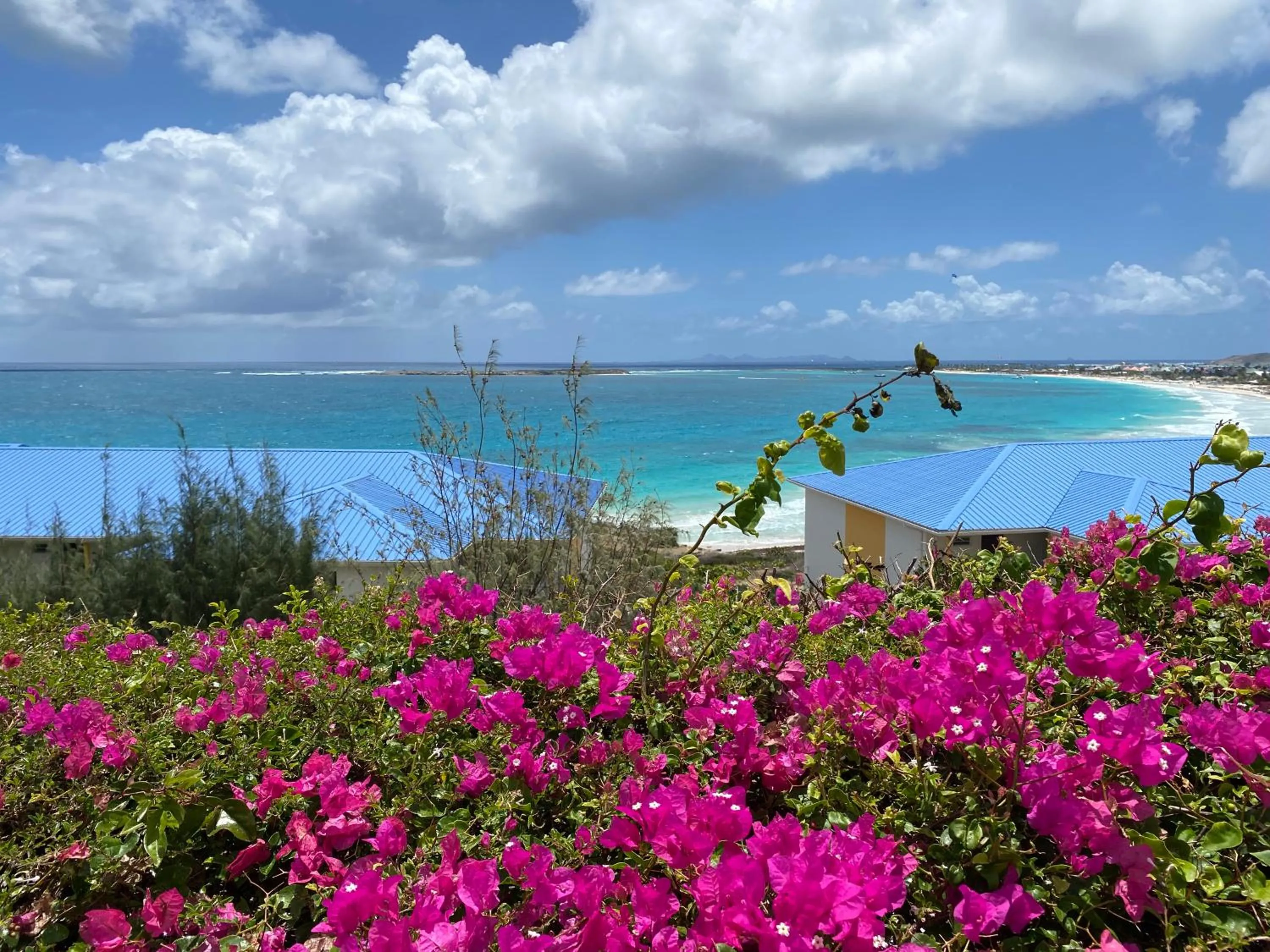 Natural landscape in Studio Orient Bay