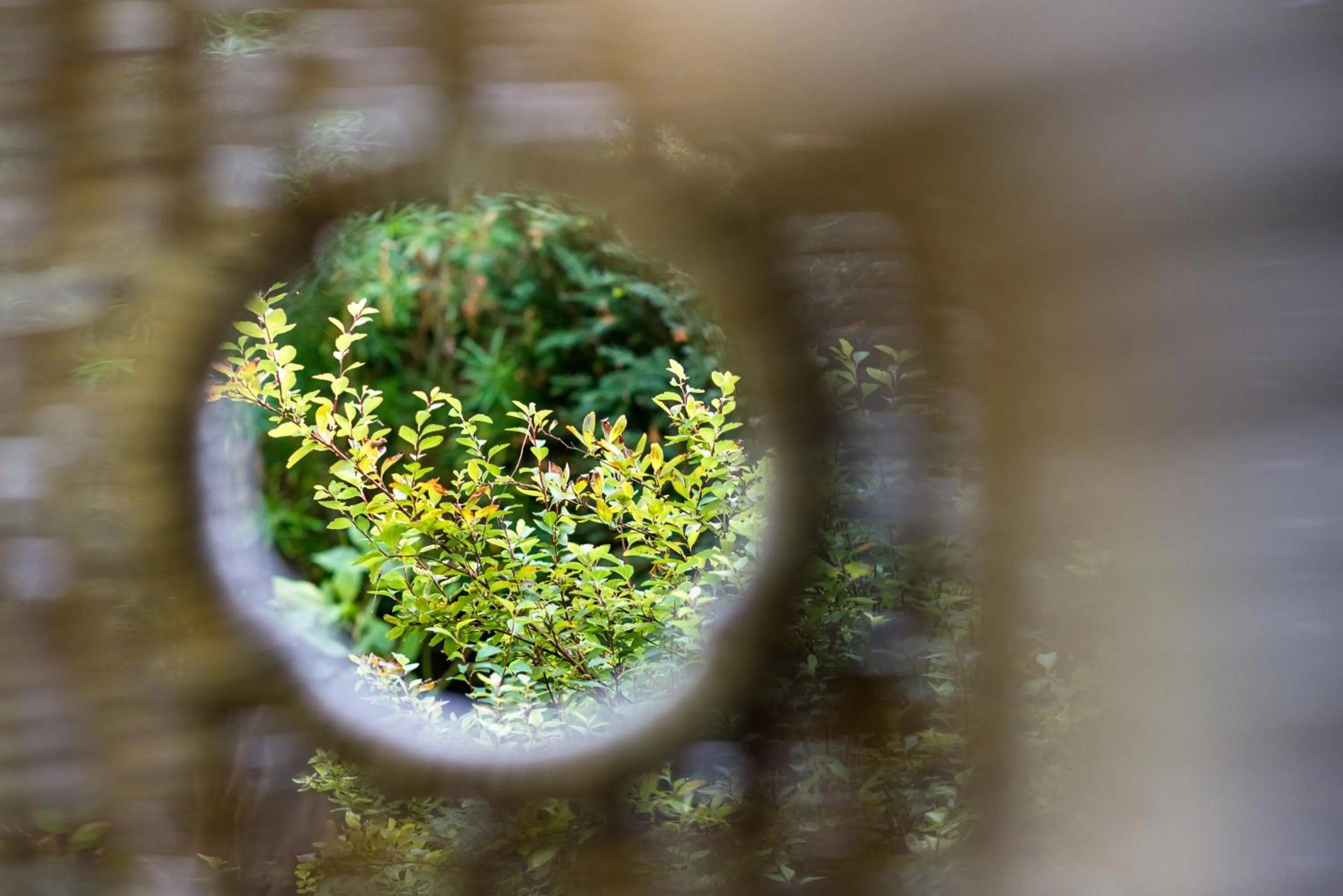 Garden in Maison Ailleurs