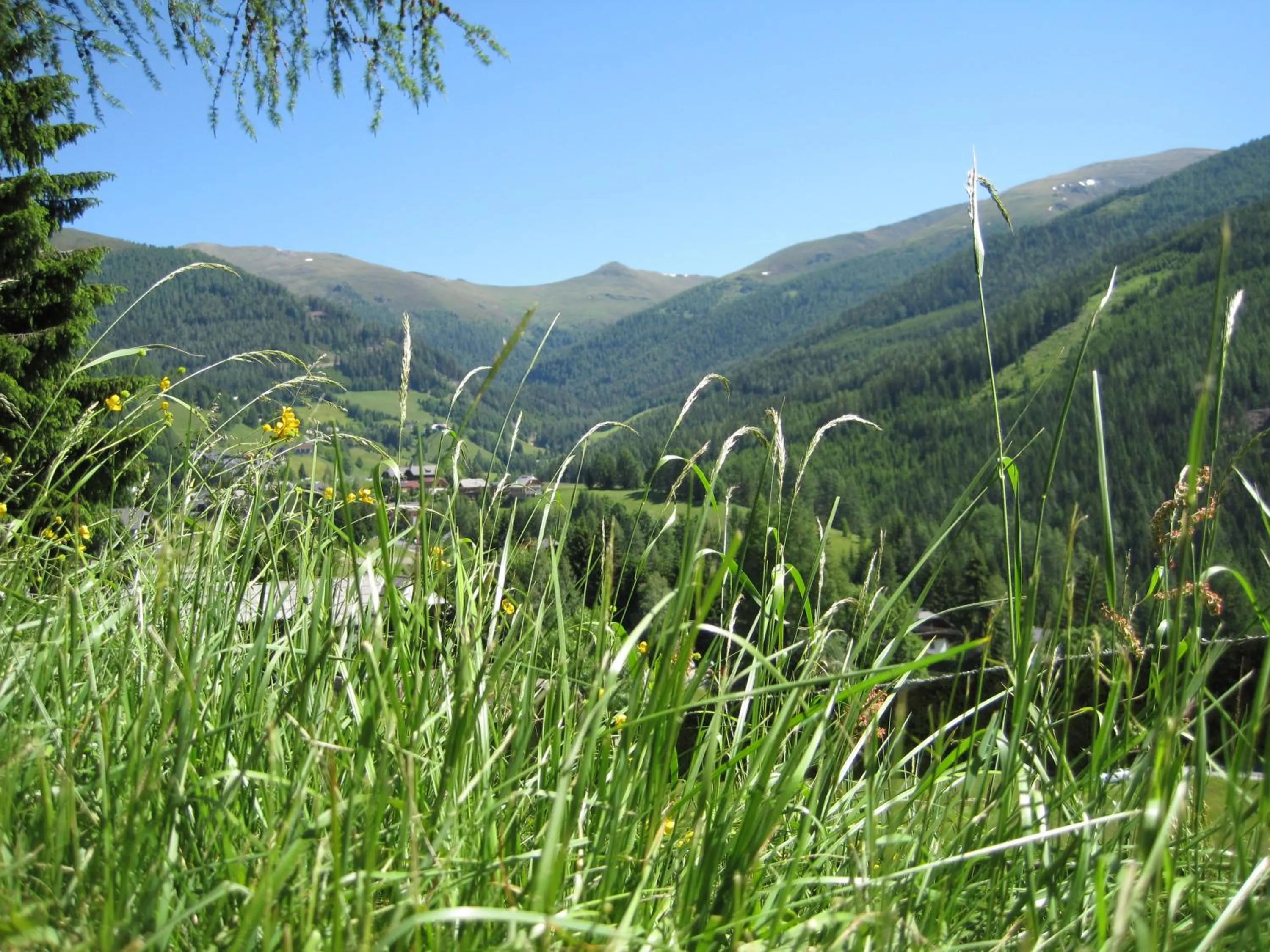 Spring in Hotel St. Oswald