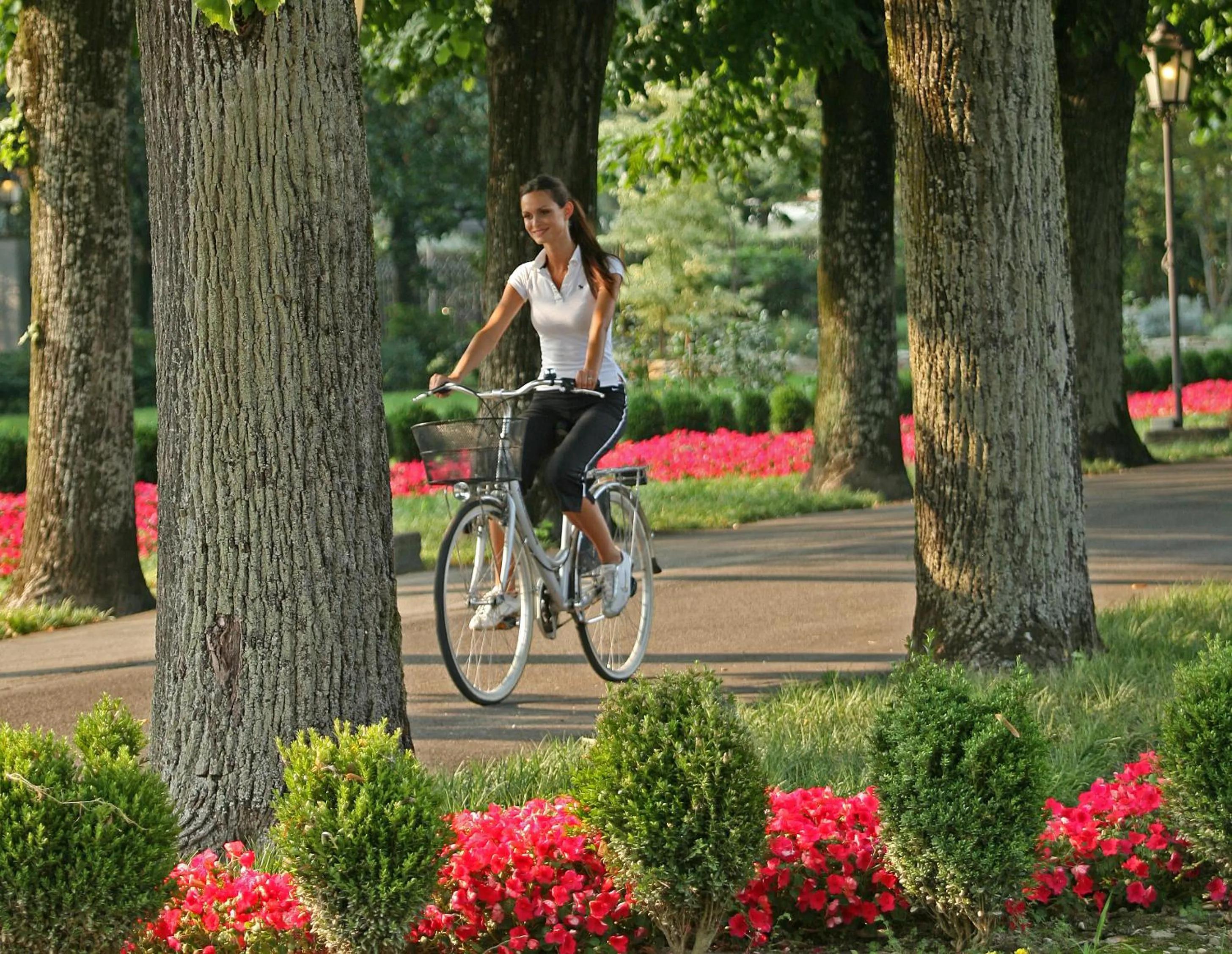 Garden in Hotel Terme Neroniane
