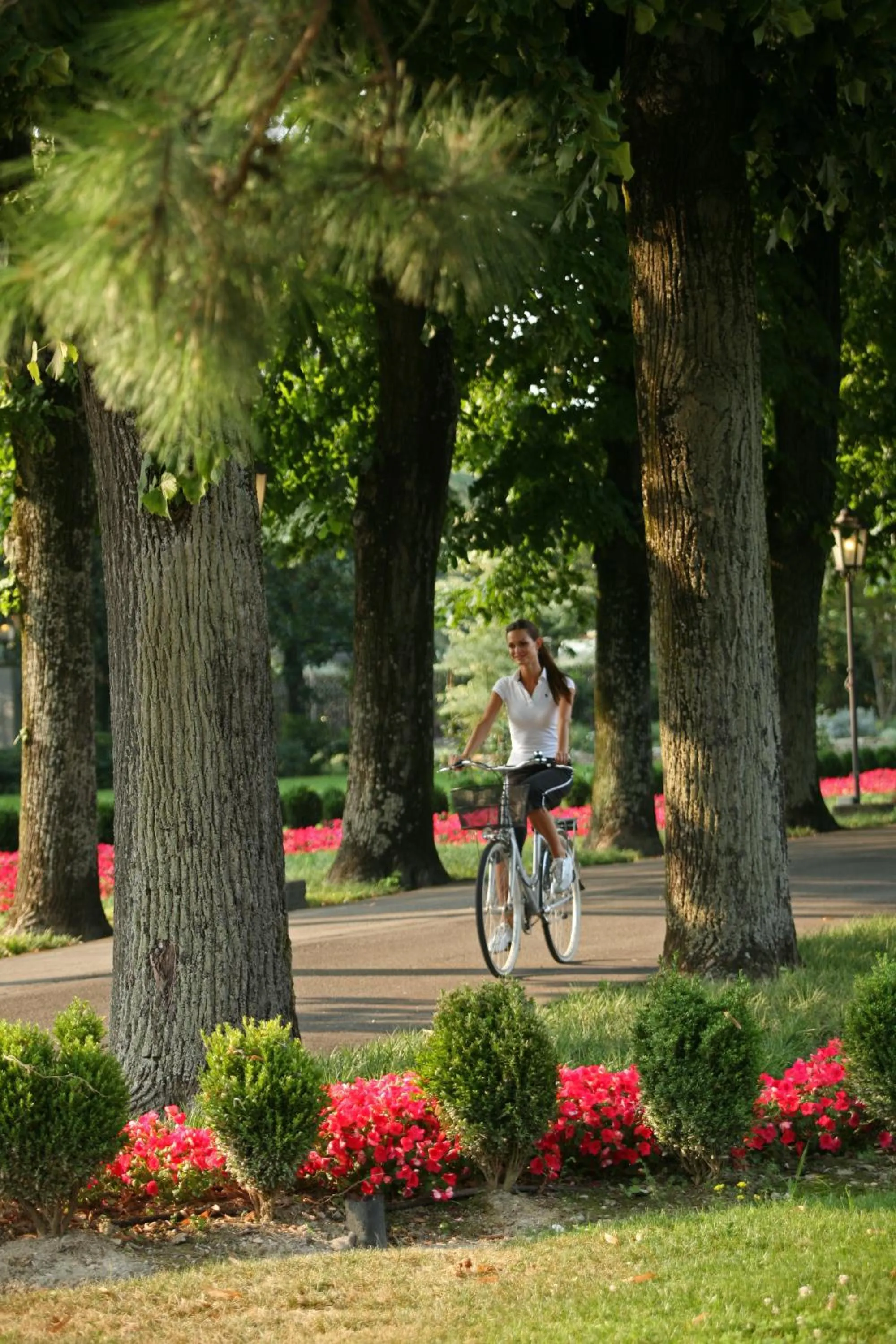 Garden in Hotel Terme Neroniane