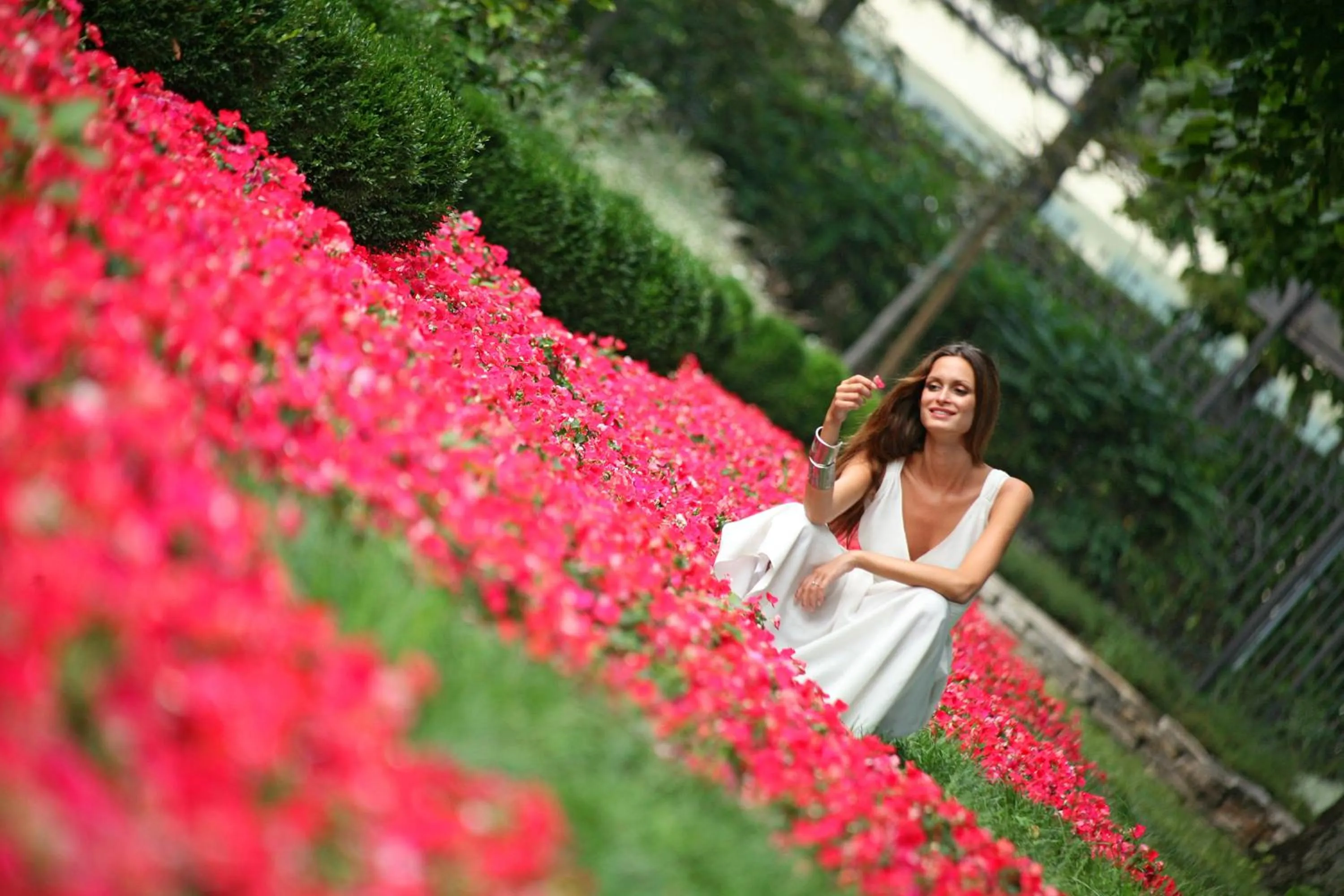 Garden in Hotel Terme Neroniane