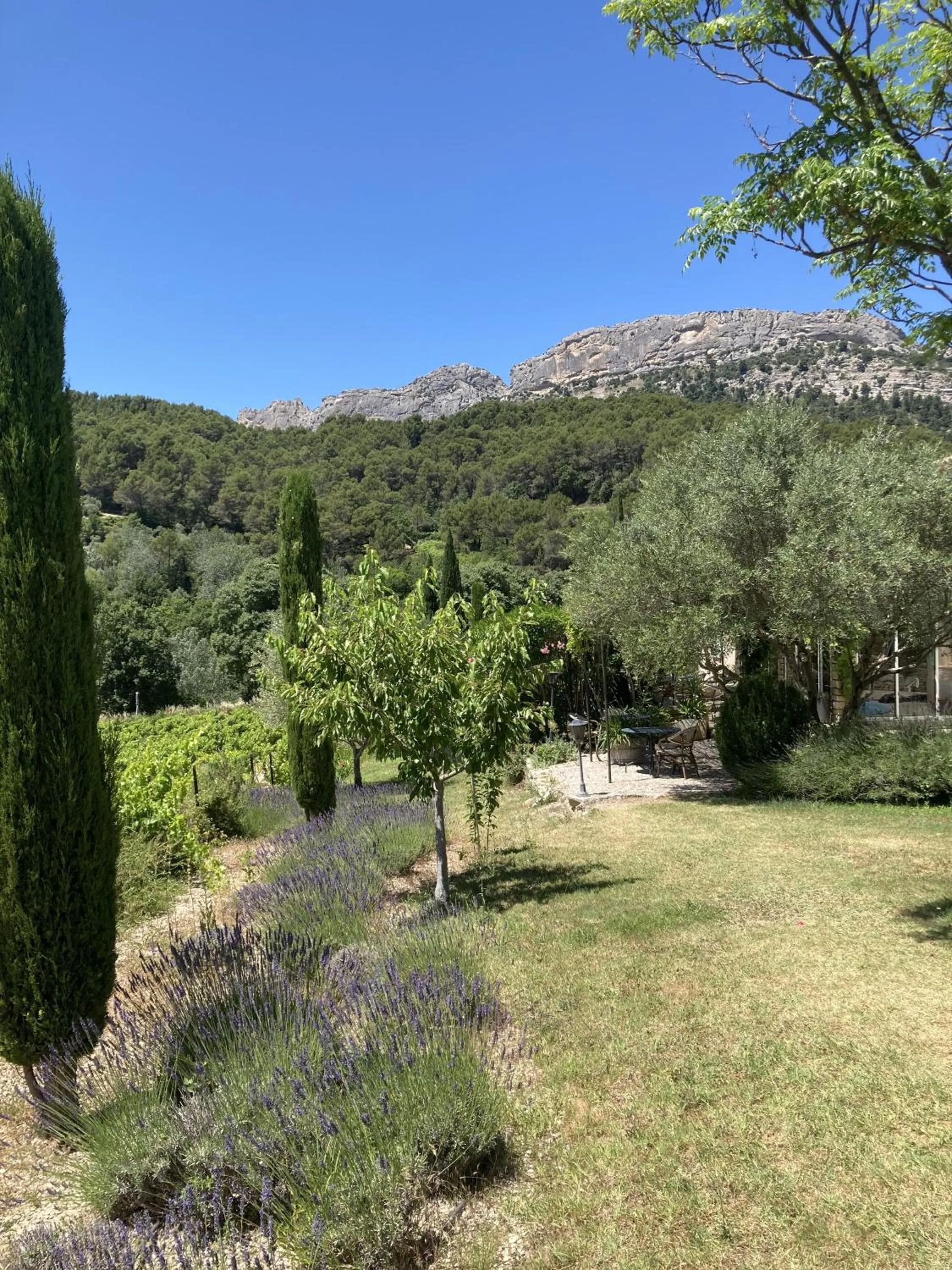 Garden in Chambres & Table d'Hôtes Au Soleil du Bonheur