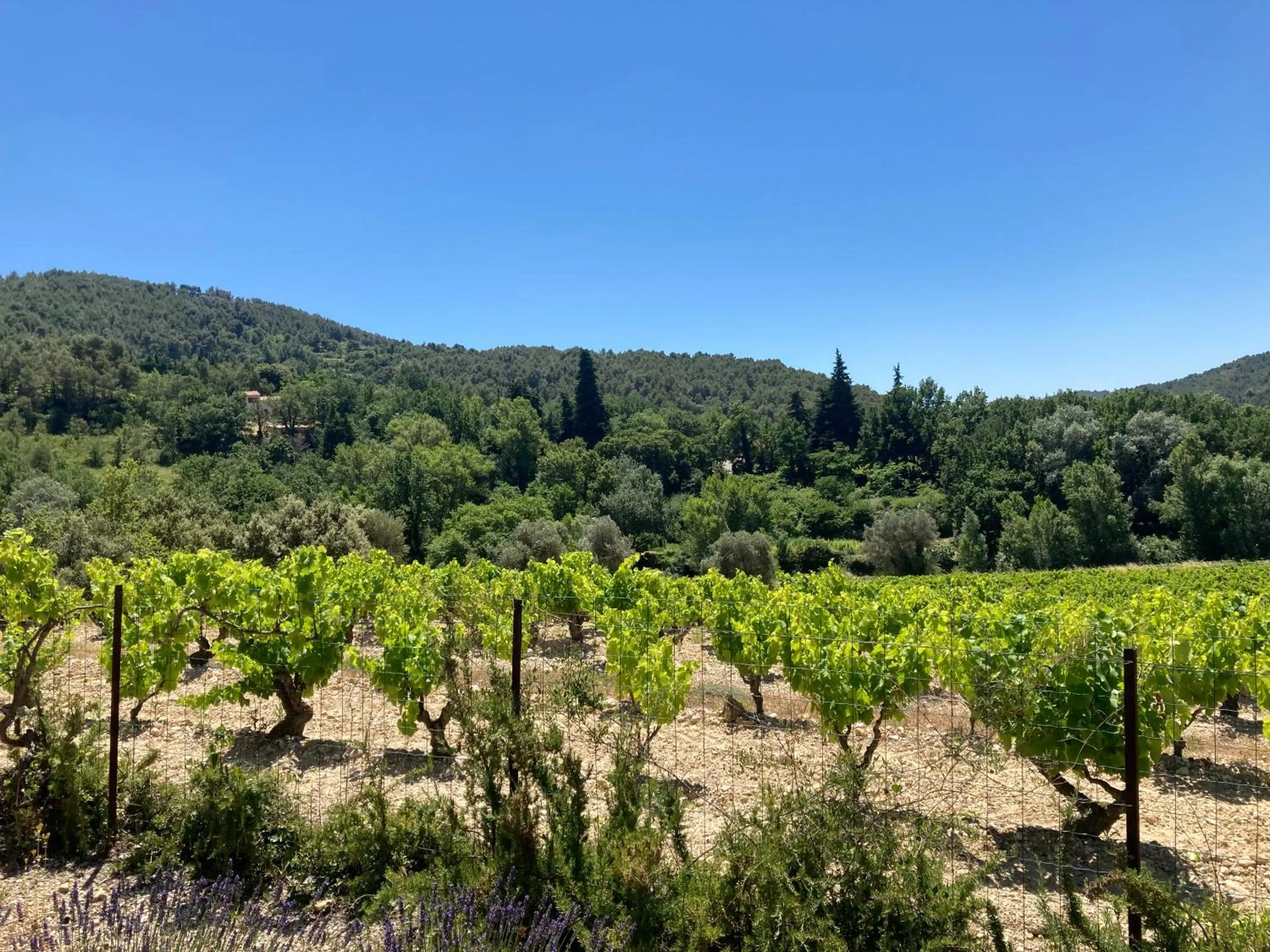 View (from property/room) in Chambres & Table d'Hôtes Au Soleil du Bonheur