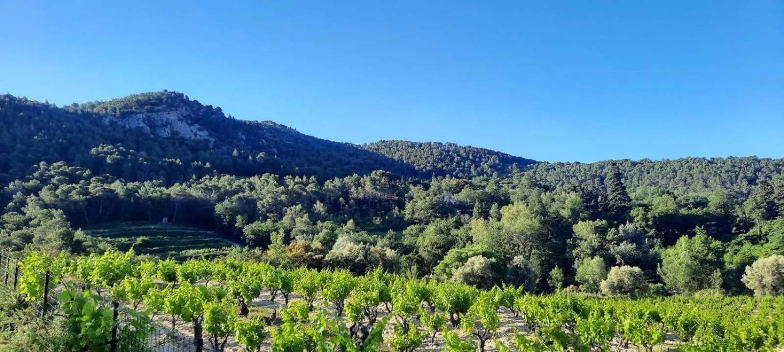 View (from property/room) in Chambres & Table d'Hôtes Au Soleil du Bonheur