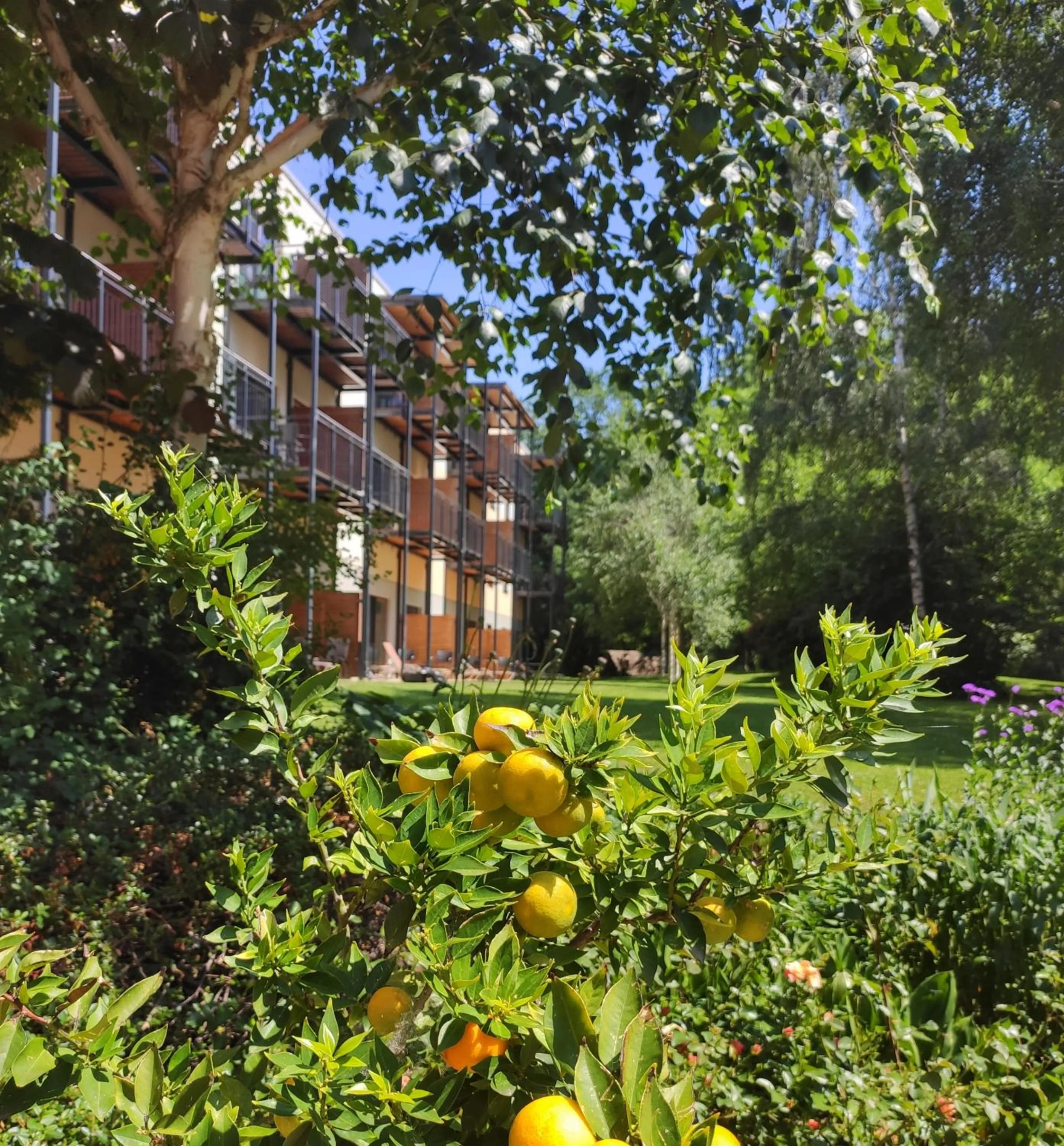 Property building in Heide Spa Hotel & Resort