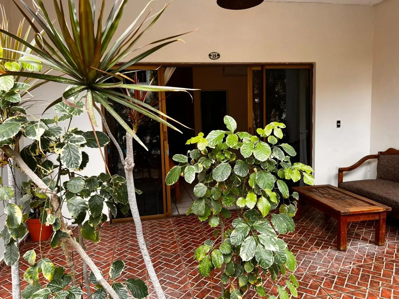 One-Bedroom Suite in Hotel Palmeras One-Bedroom Suite in Hotel Palmeras