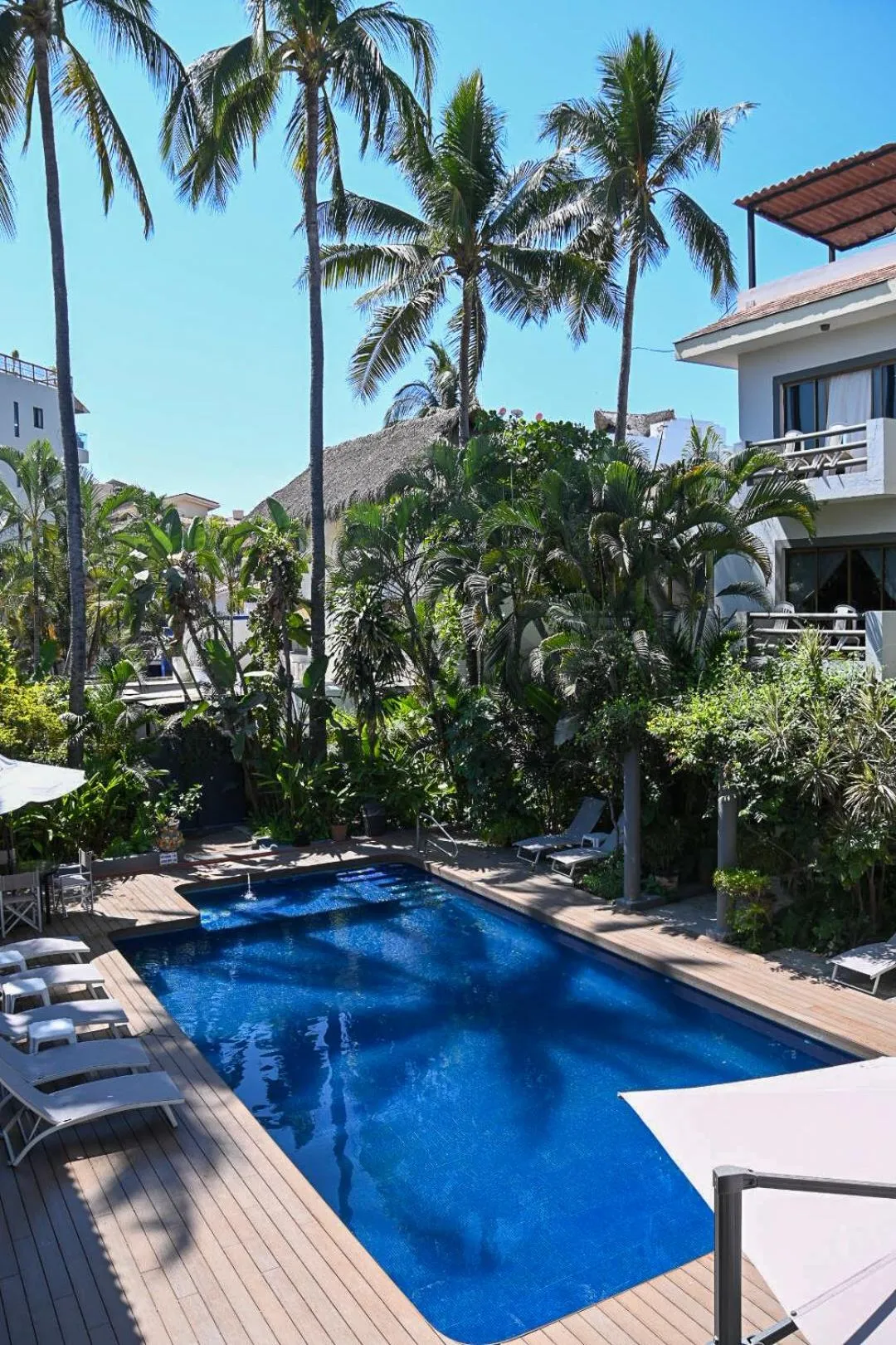 Swimming pool in Hotel Palmeras