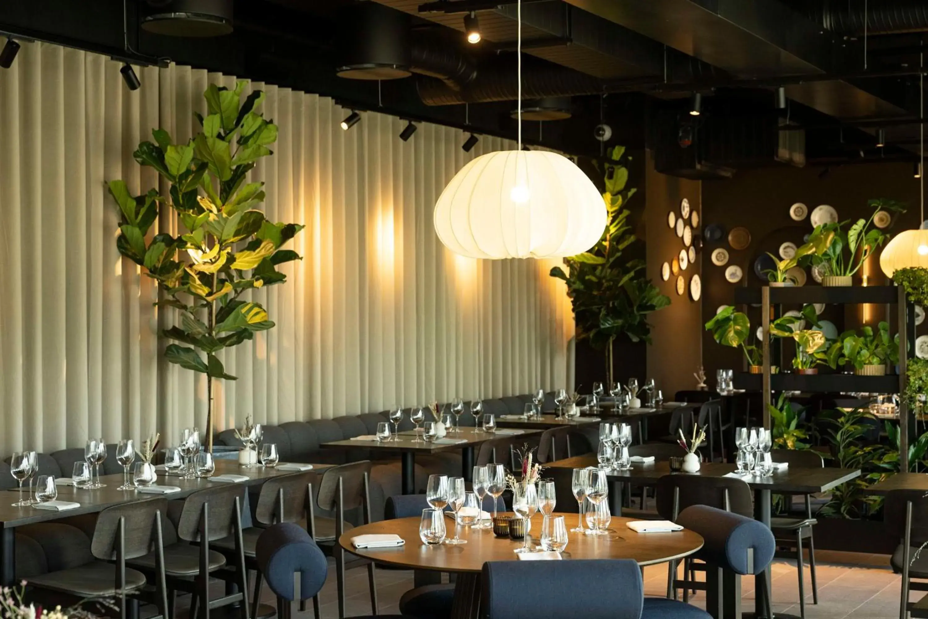 Restaurant/places to eat in NH Collection Copenhagen Restaurant/places to eat in NH Collection Copenhagen